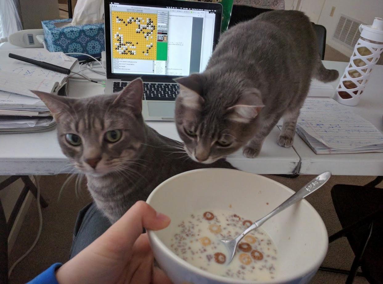 Cereal Killerz