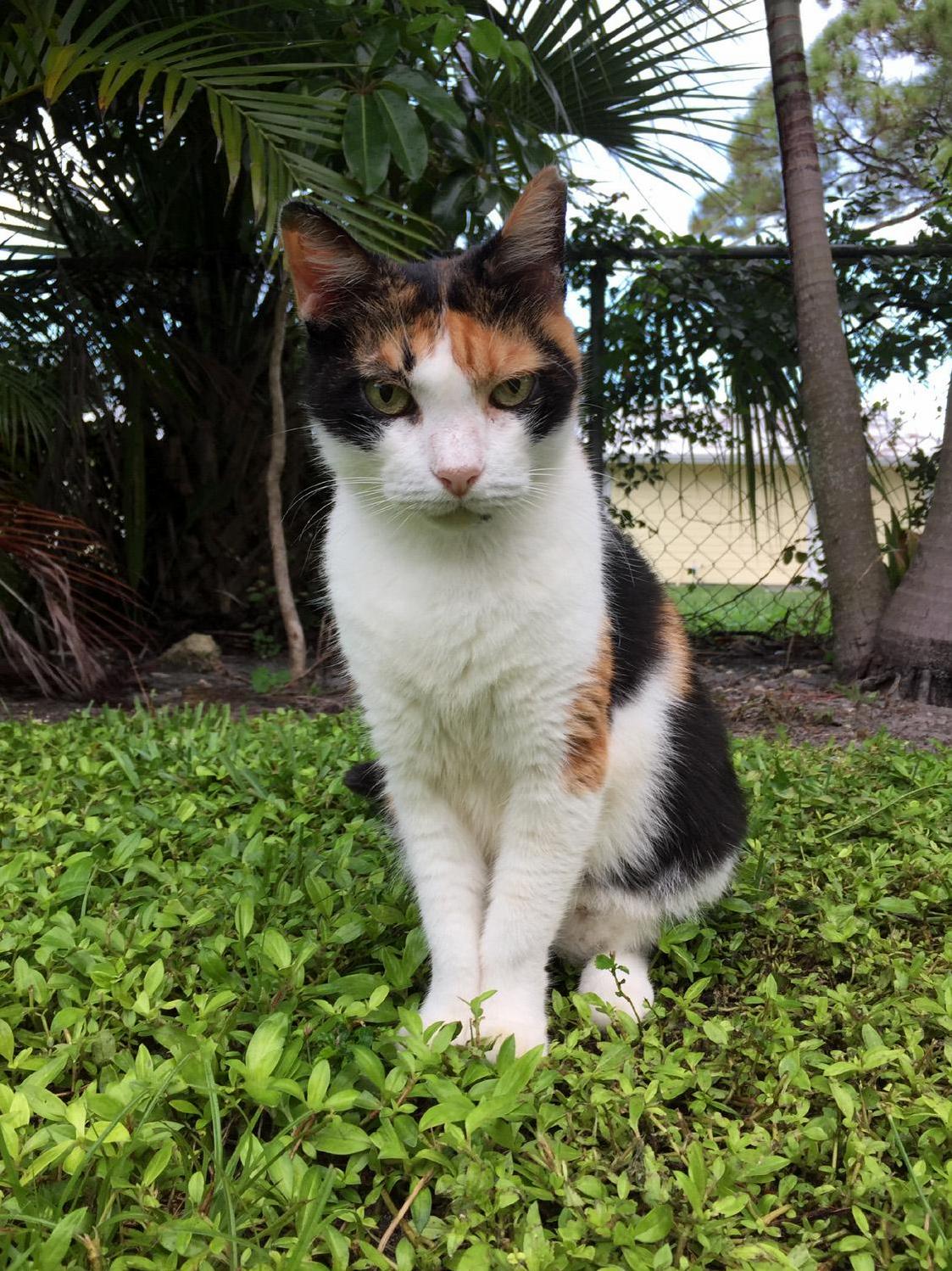 Crouton Absolutely Loves to Be Photographed She Knows It Means Shes Being Admired Adored