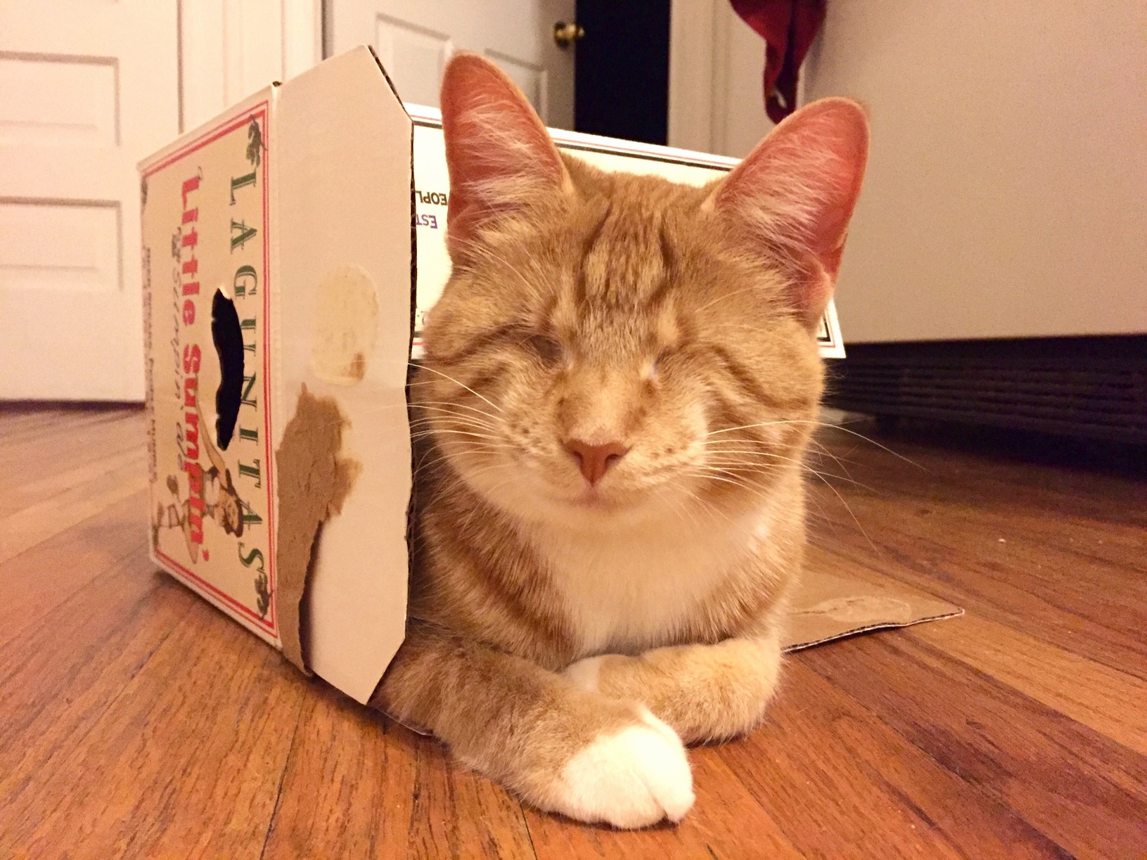 Daddy Gets His Beer I Get His Box