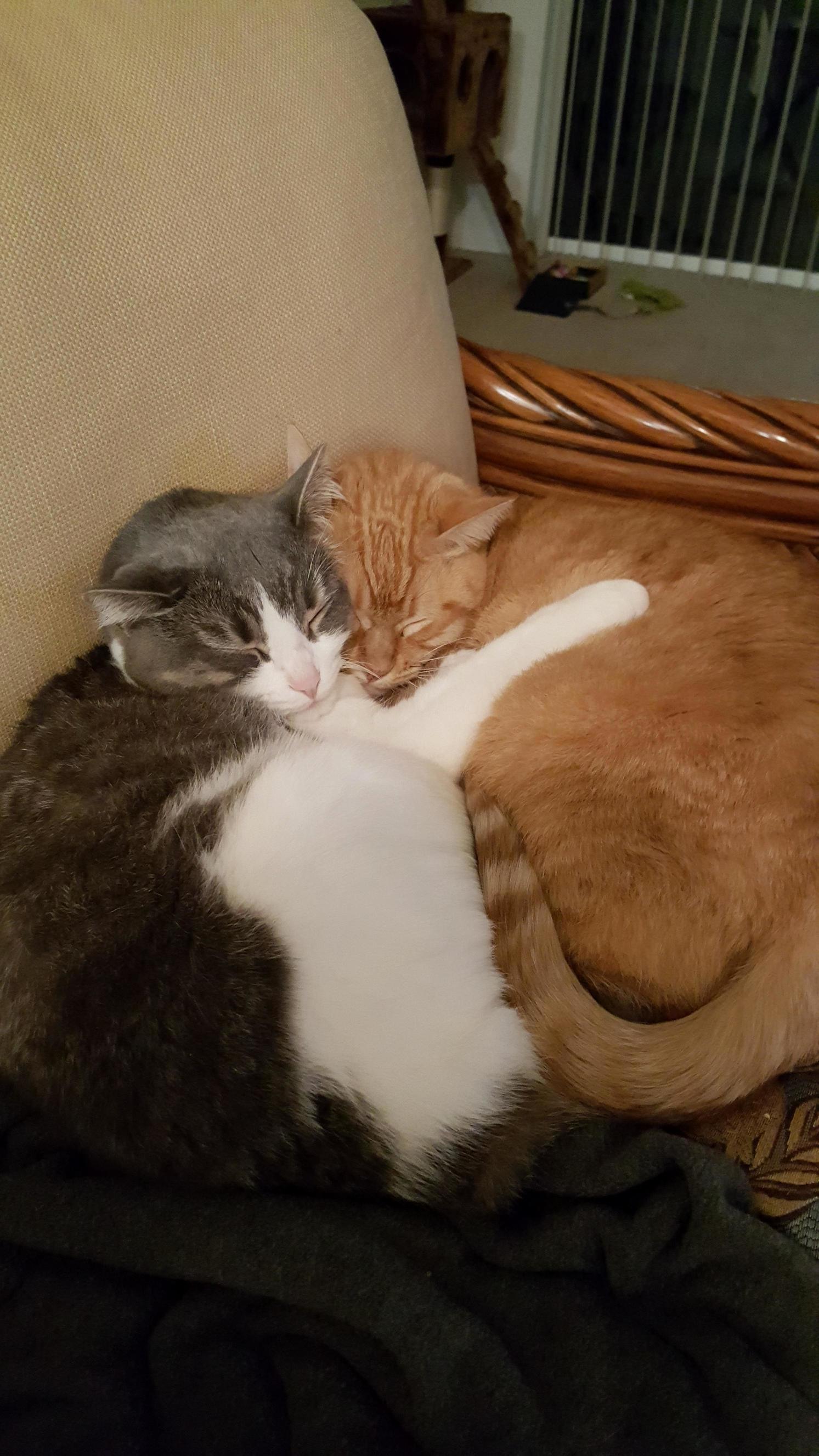Daisy Penny in a Rare Moment When Theyre Not Fighting...