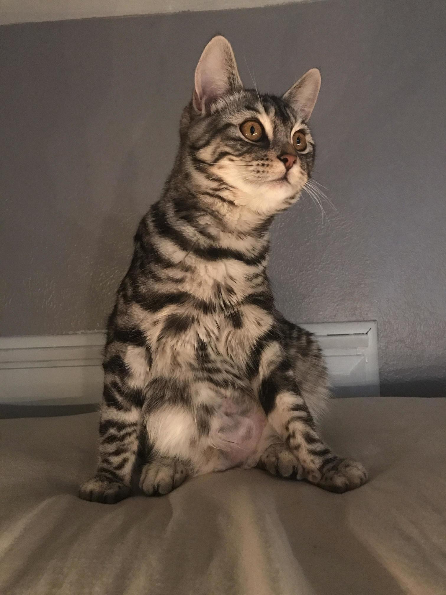 Derpiest of All Derps