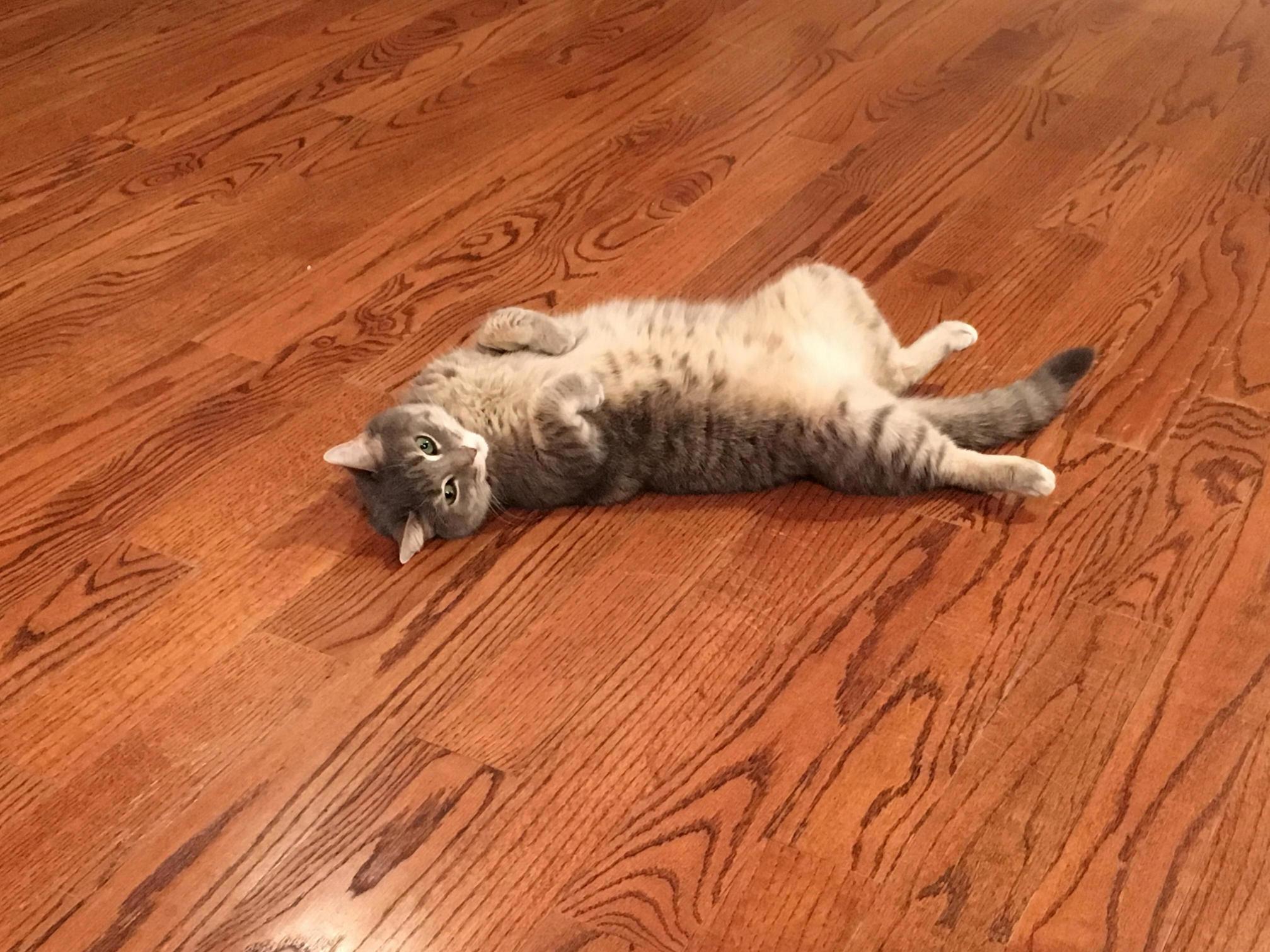 Detective John Munch Showing Off the Belly