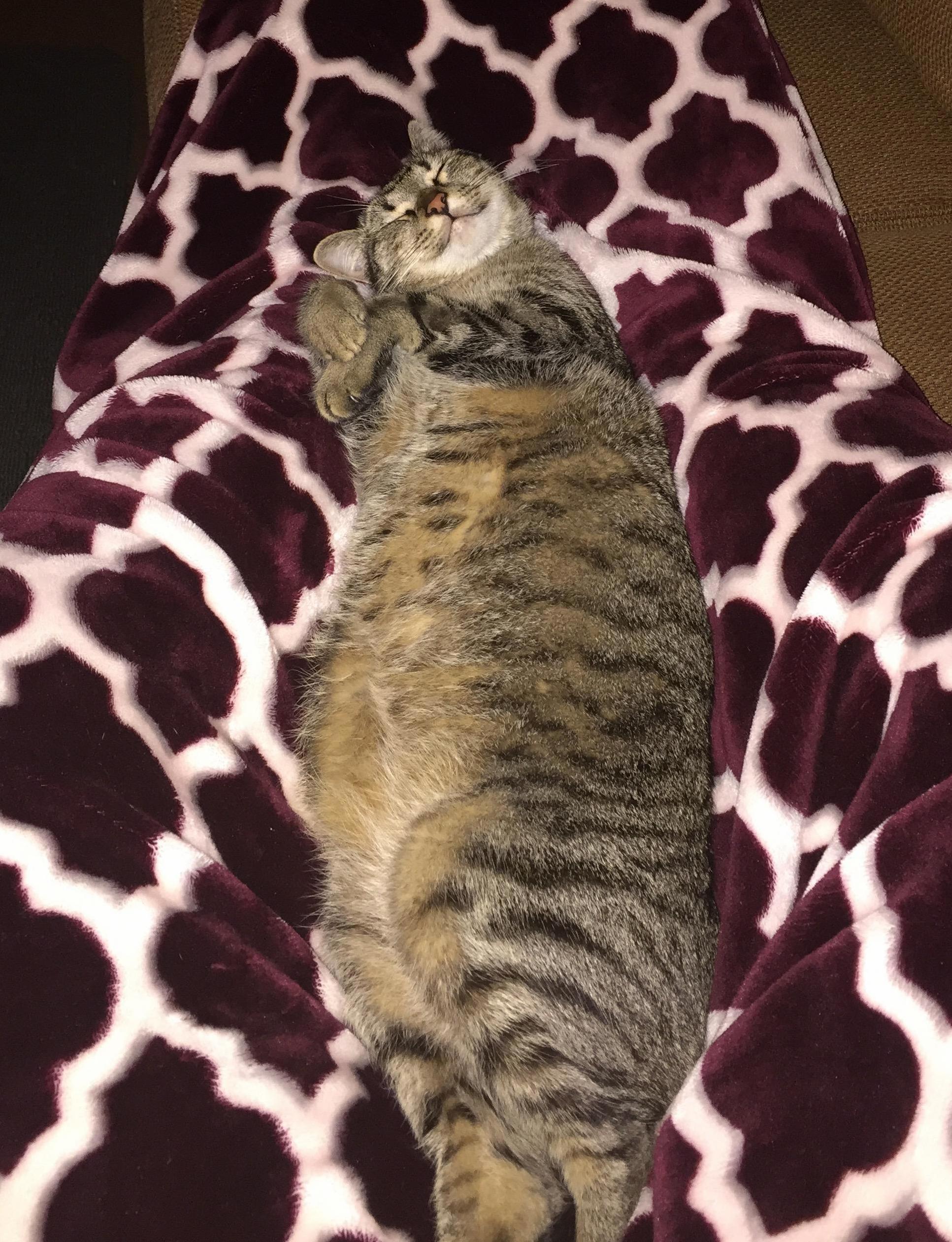 Does This Pose Make My Belly Look Big