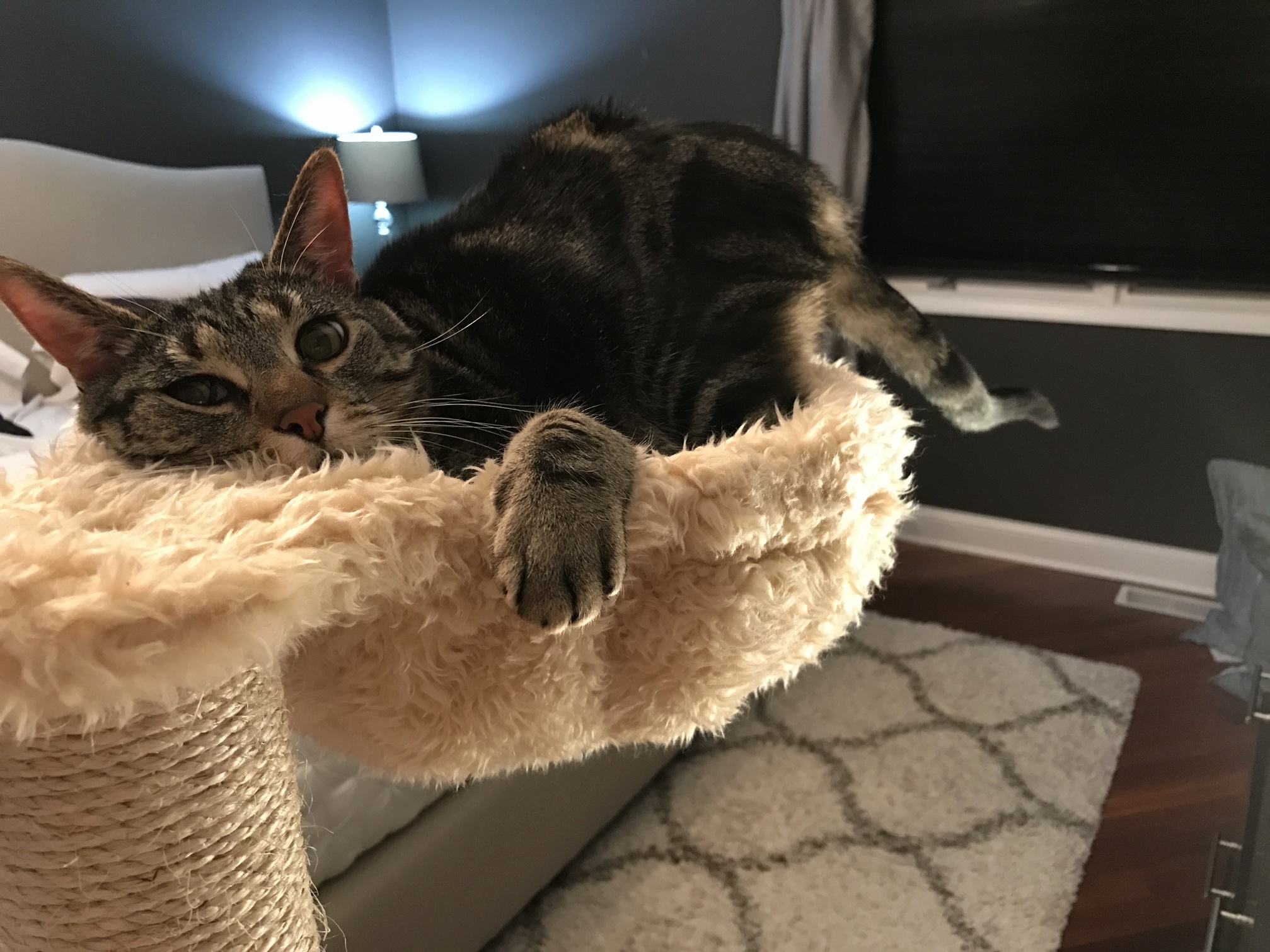 Doesnt Fit. Doesnt Care.