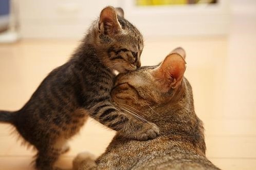 Dont Worry I Love You.