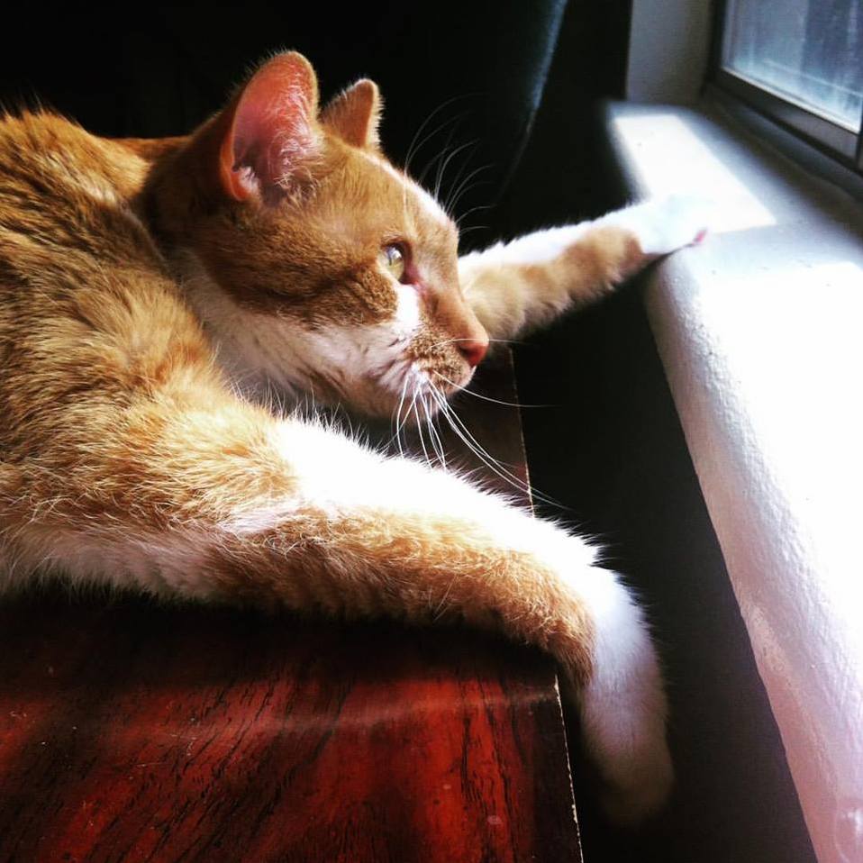 Dreaming of the Outdoors