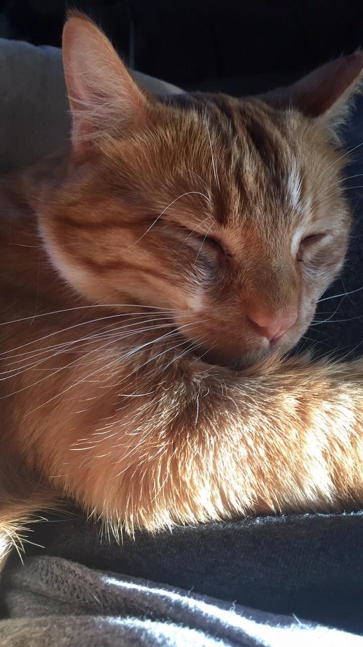 Emerson My Own Personal Ray of Sunshine.