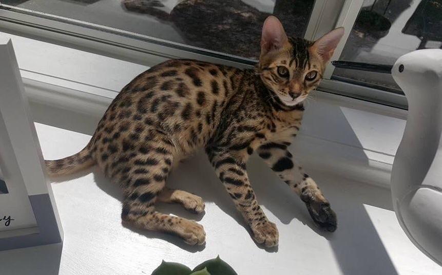 Enjoying the Warm Sun