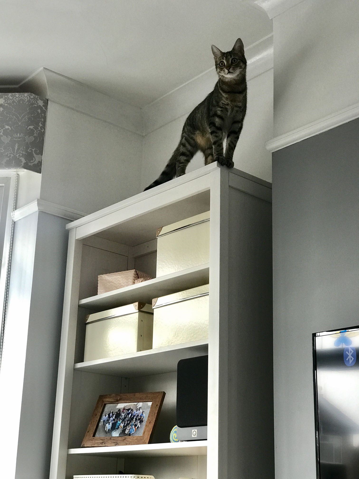 Exploring