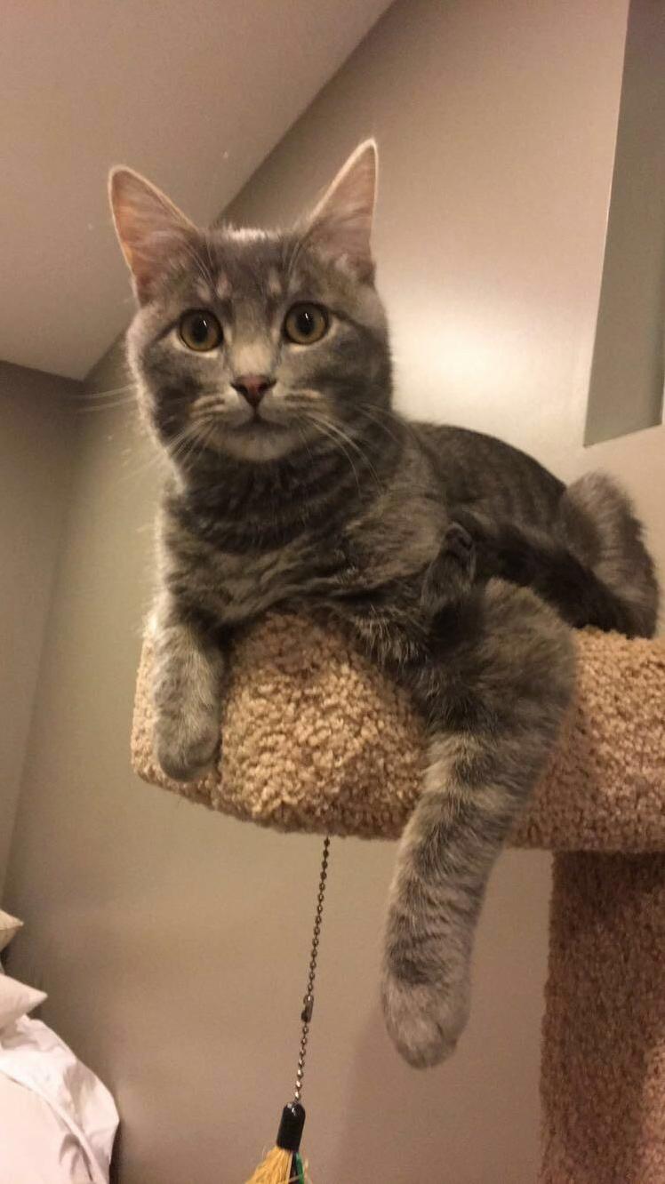 Exuding Sass