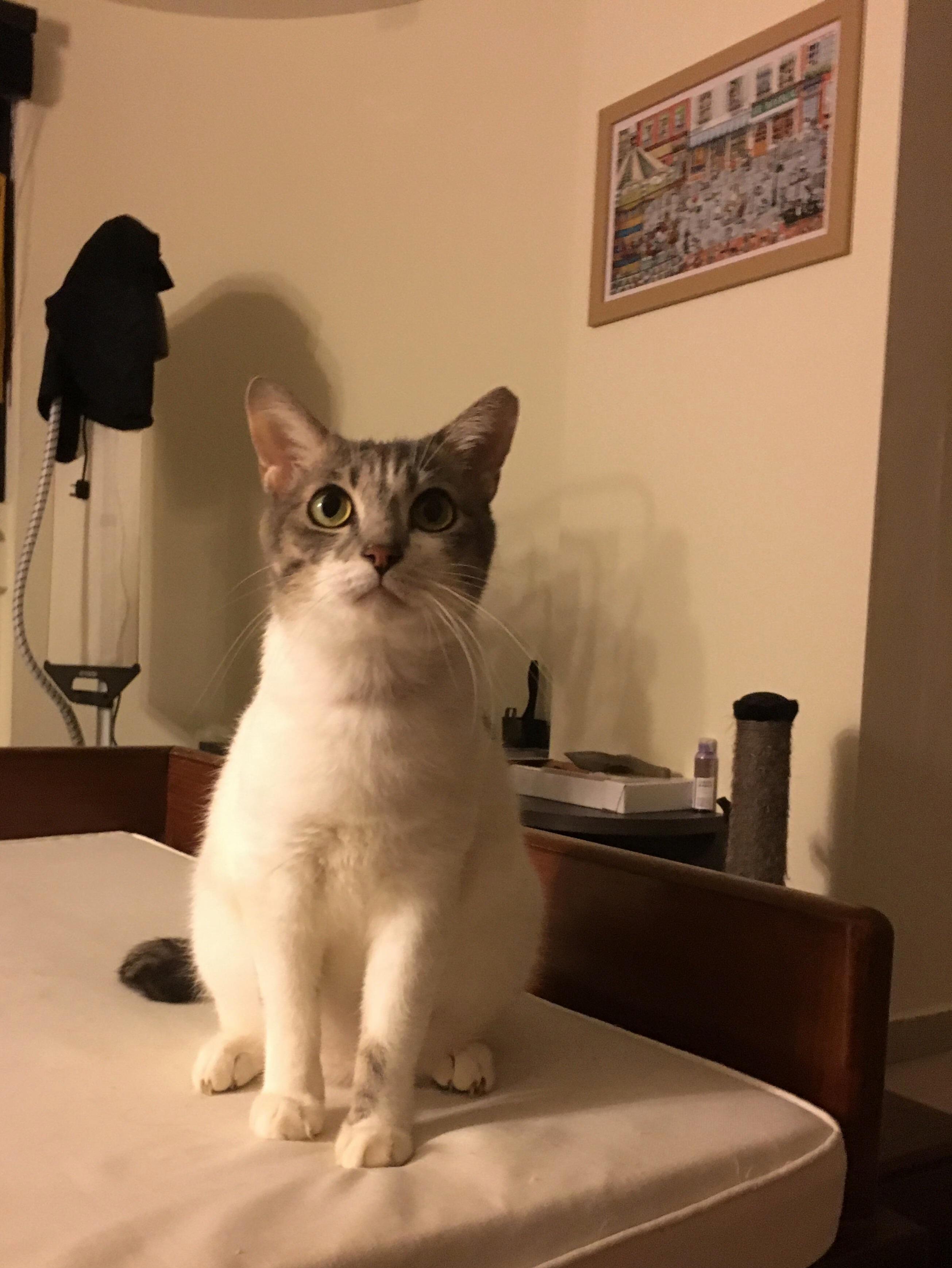 Finally Got Bruce to Pose for a Picture