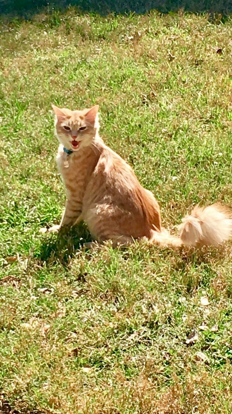 First Sunny Day of the Year. I Think Thomas Likes It