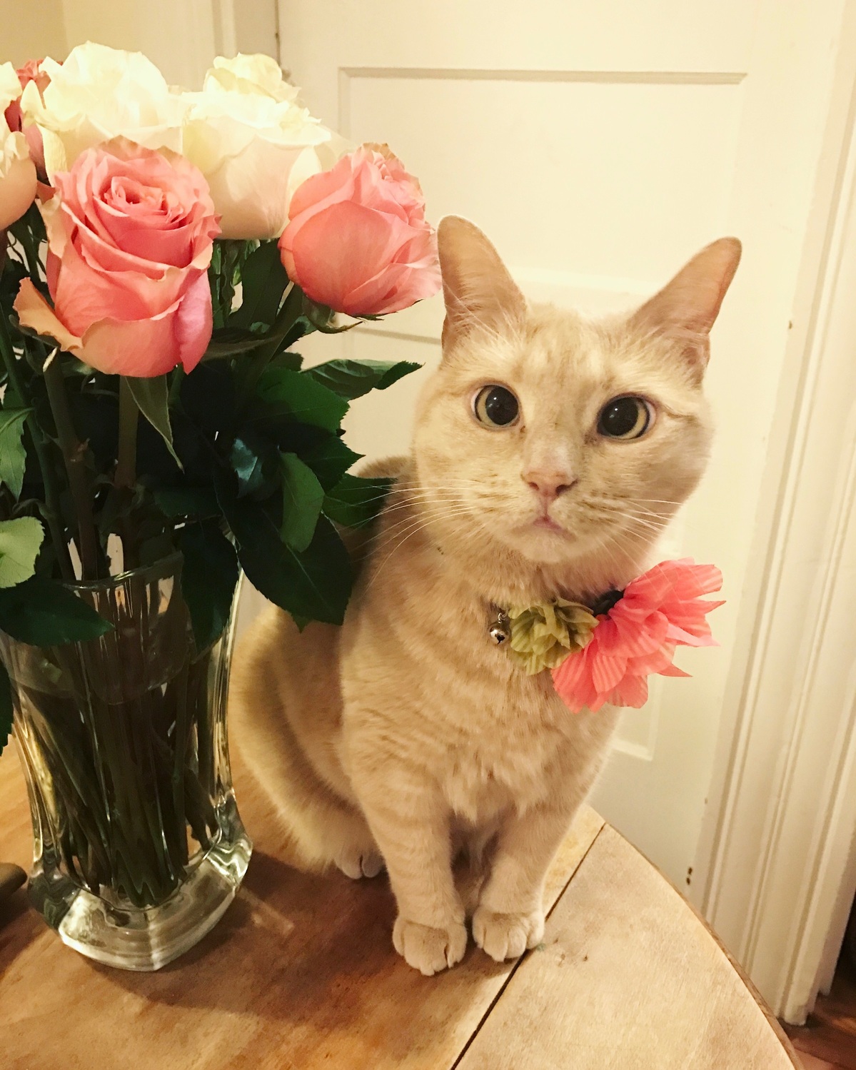 Flower Power