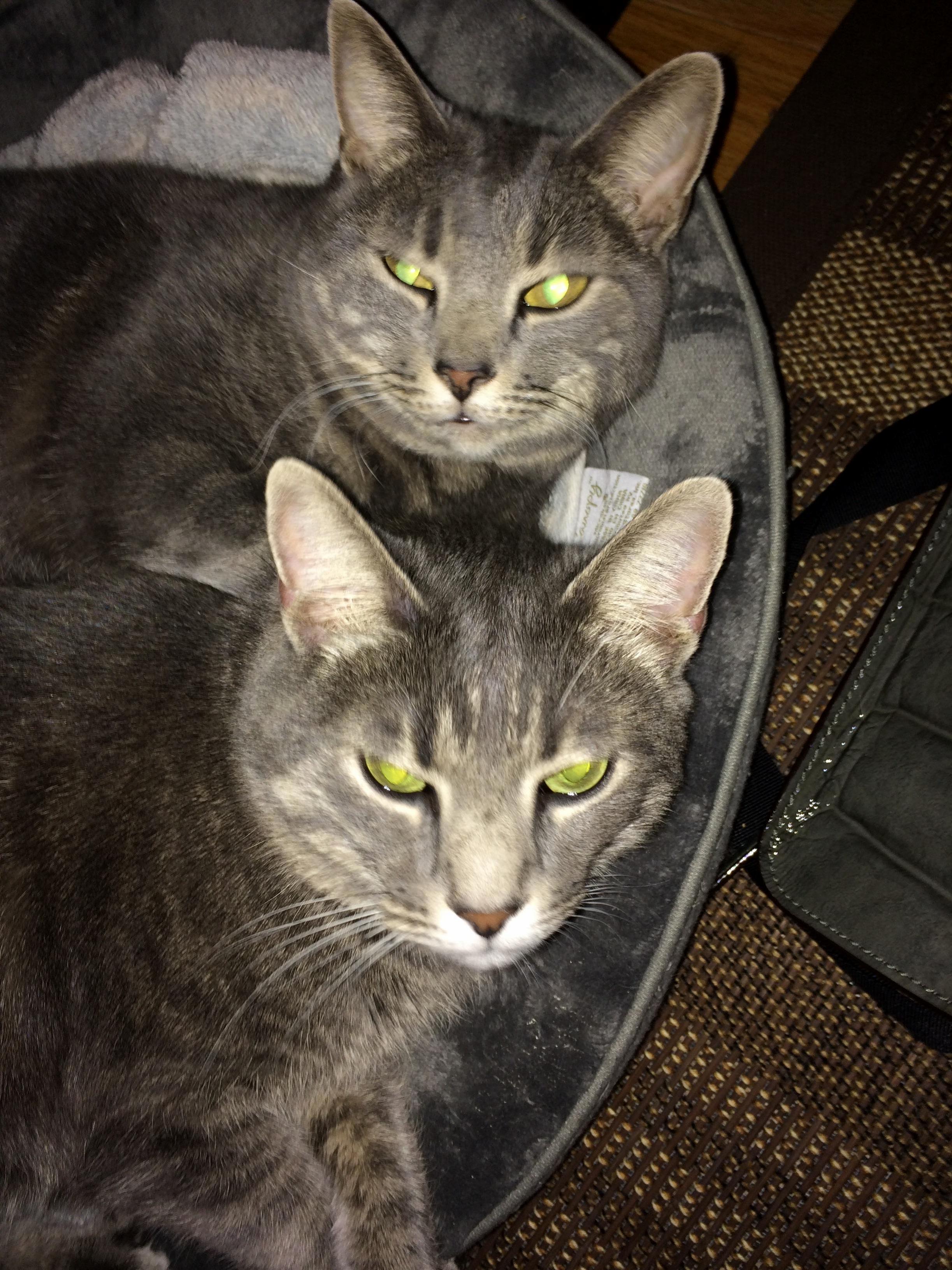 Forgot to Turn Off Flashlight...