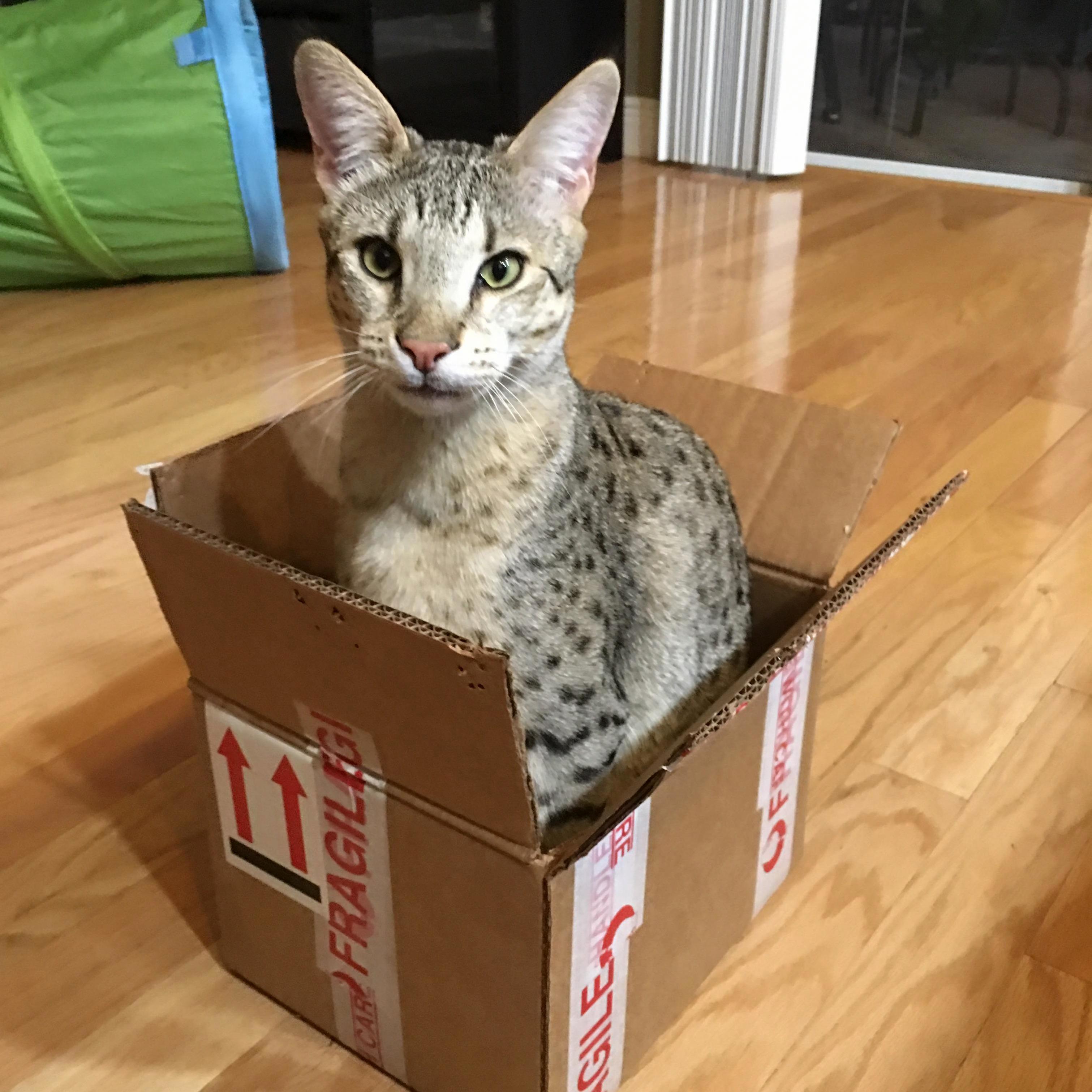 Fragile Handle with Care