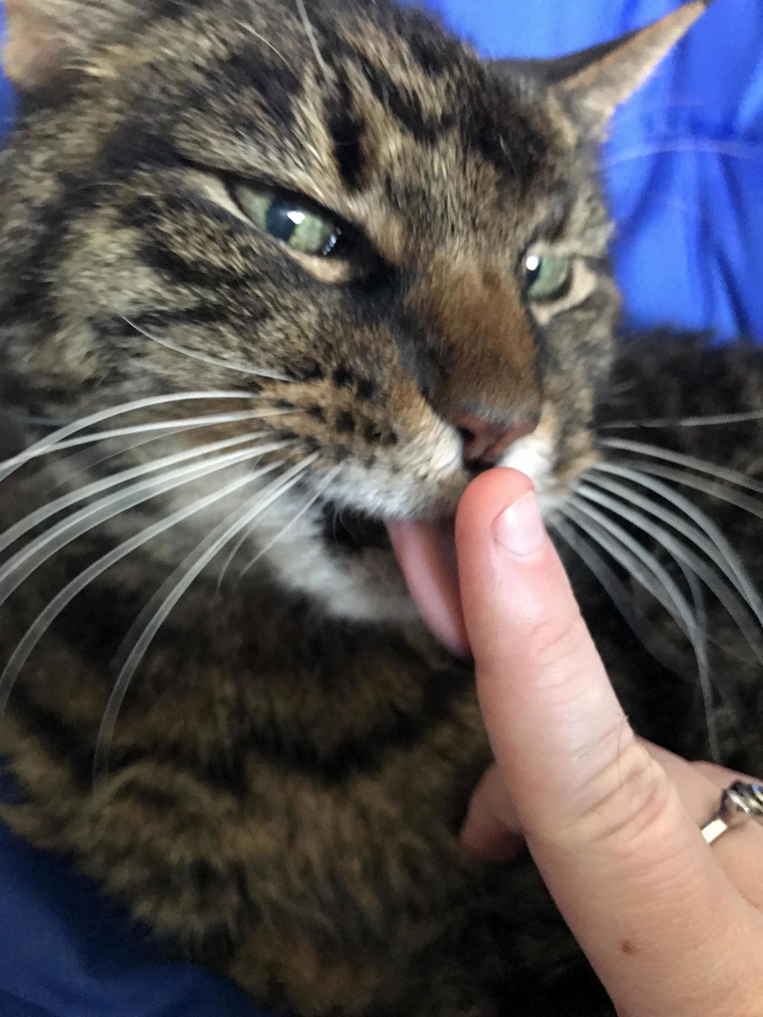 Gizmo the Twenty Three Year Old Almost Twenty Four Couldnt Stop Kissing Me Today.