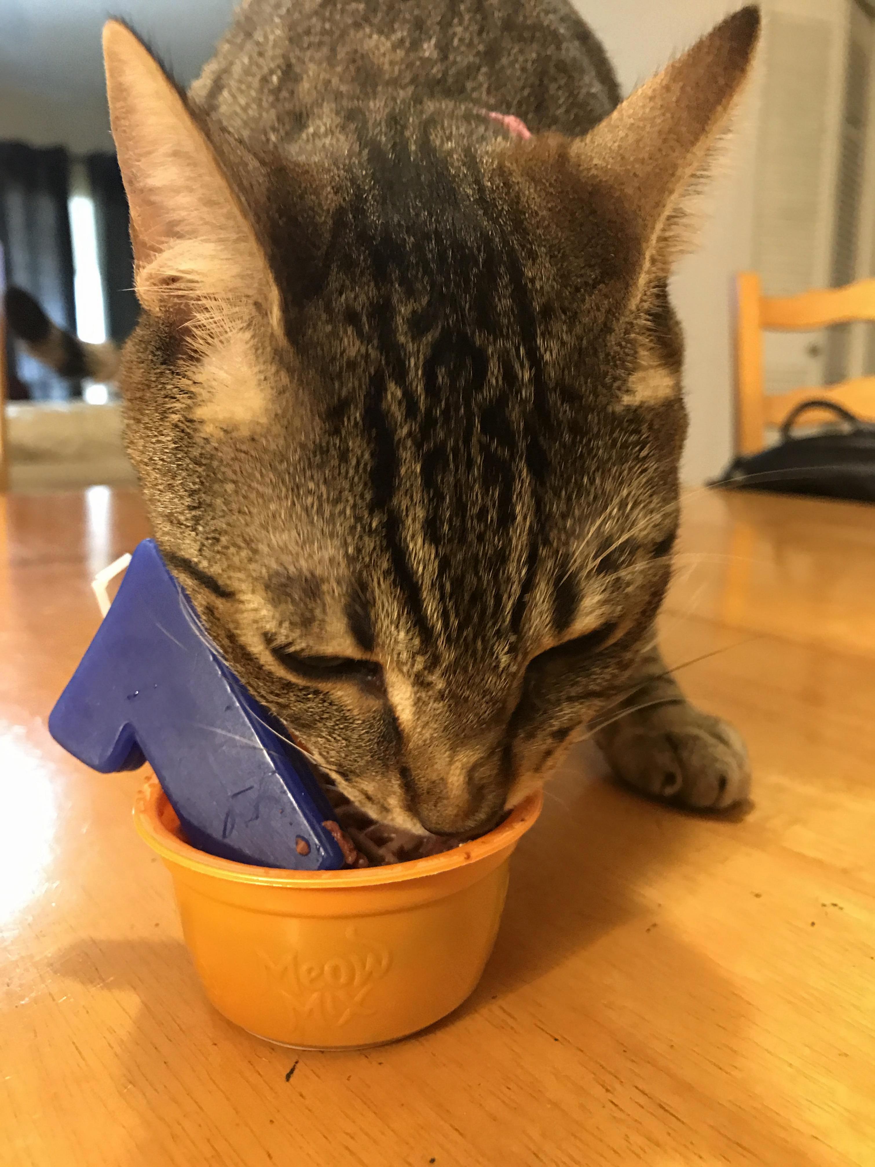Happy 1st Birthday Frank