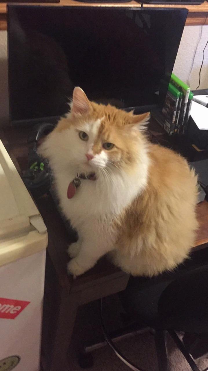 He Always Looks Disappointed in Me