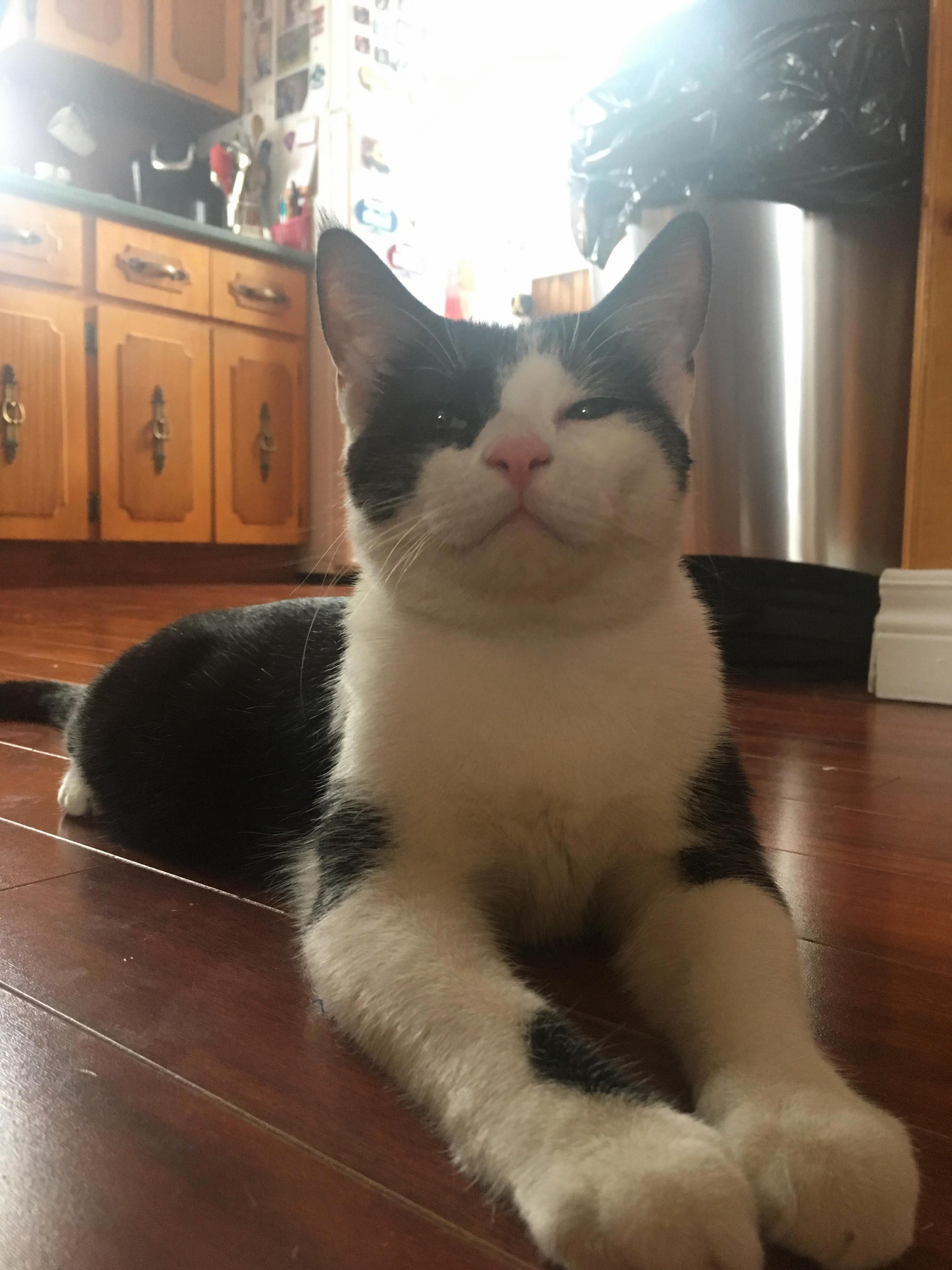 He Hates Me and Is Smug Af About It
