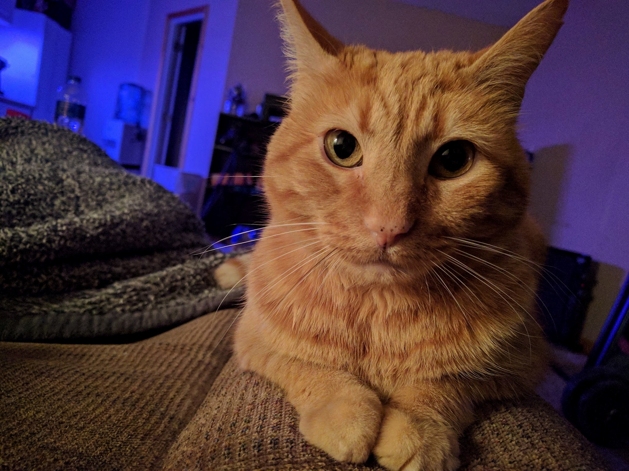 He Looks Kinda Pissed in This Picture.