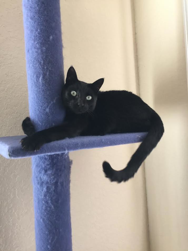 He Loves His Tree
