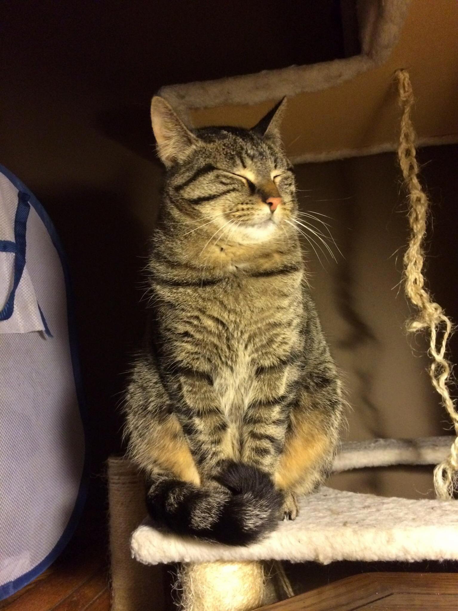 He Sits Here Every Morning and Watches the Sunrise