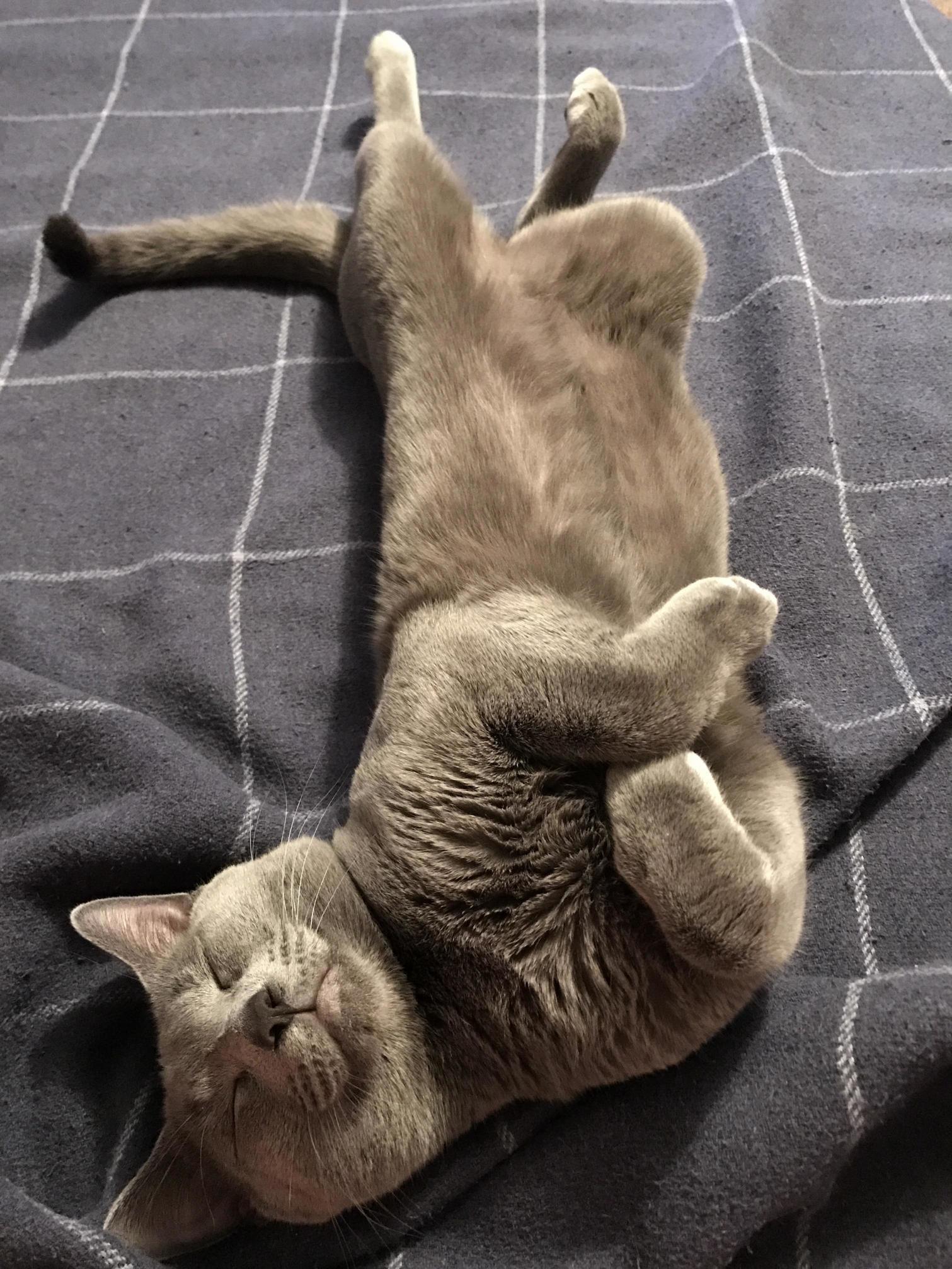 He Sleeps Where and How He Wants
