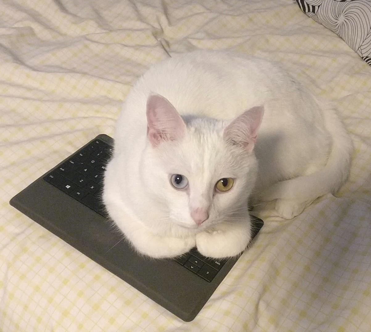 He Wouldnt Let Me Work So I Gave Up and Just Let Him Have It