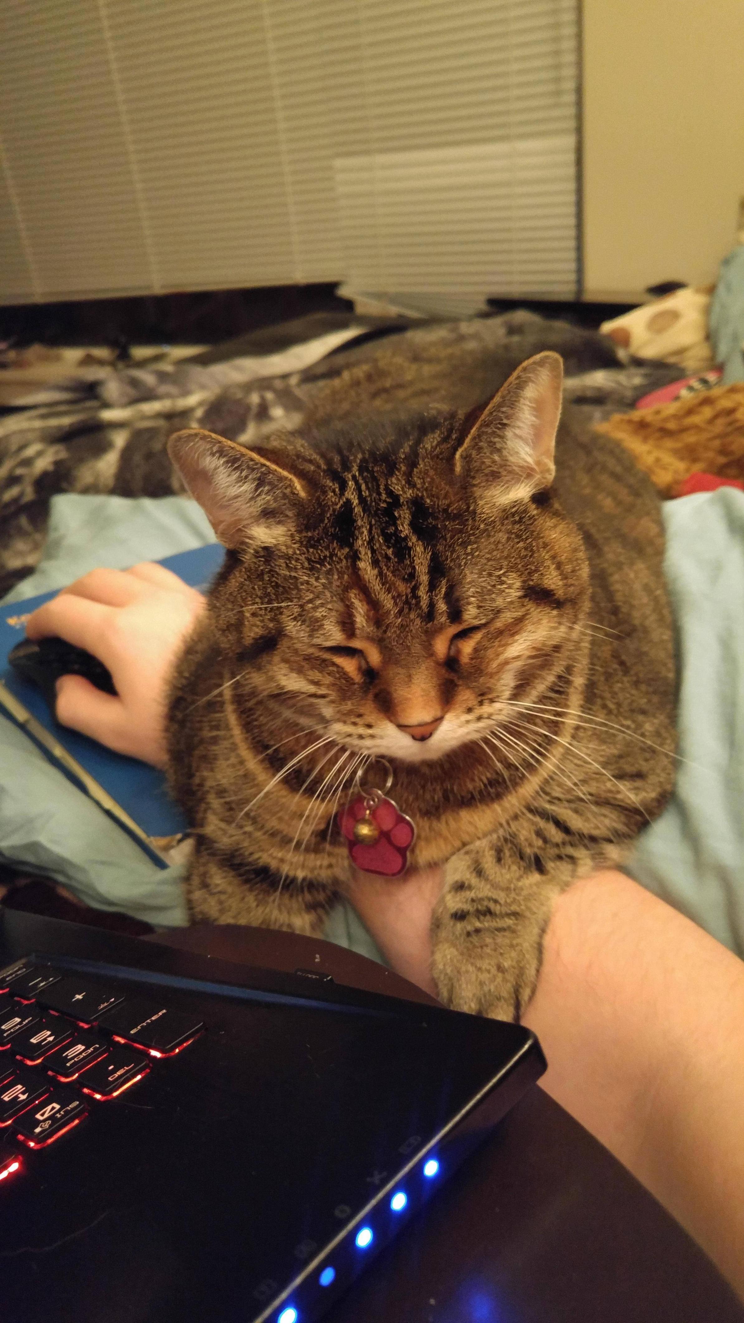 Helping