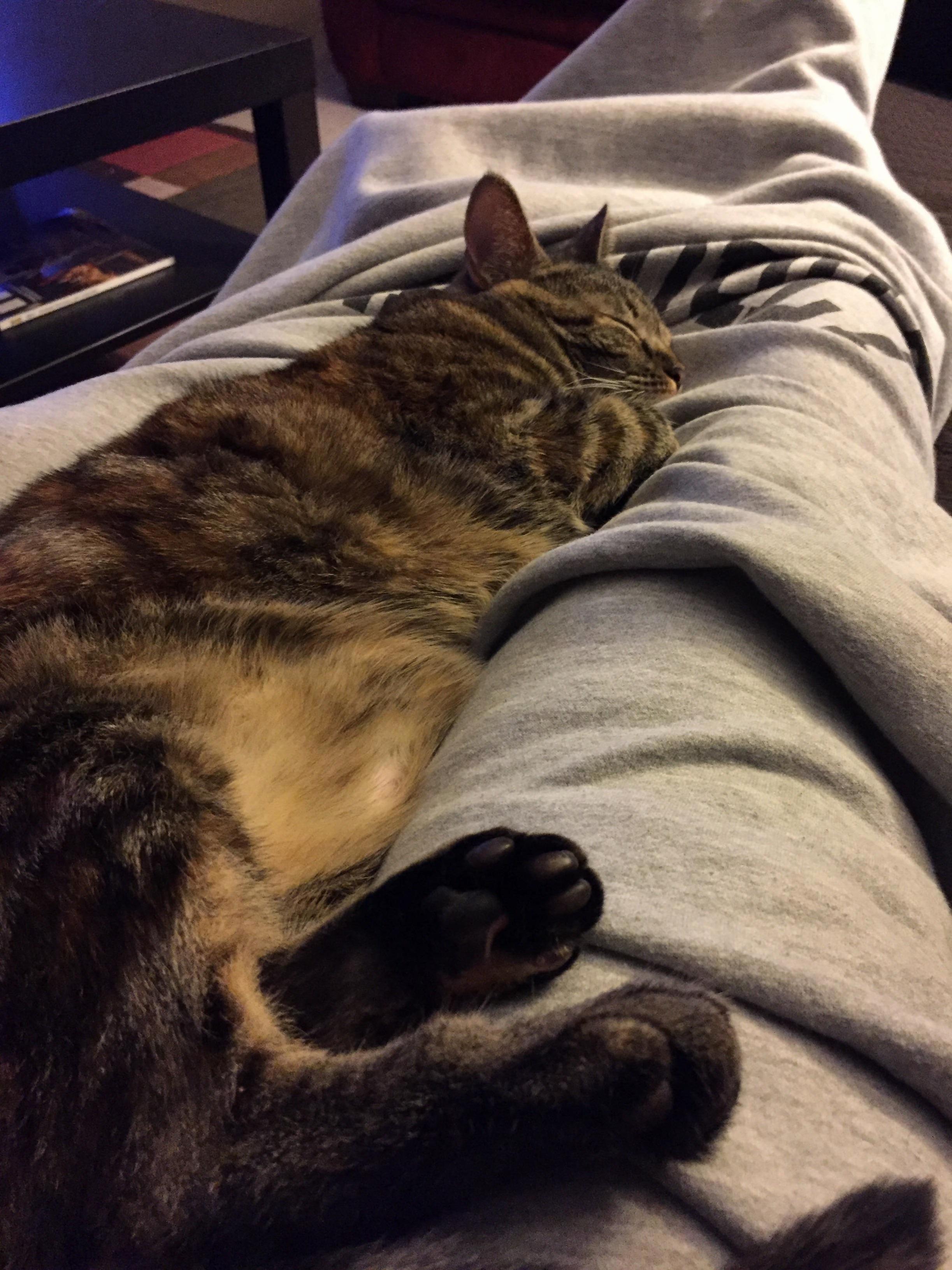 Her Favorite Place to Sleep