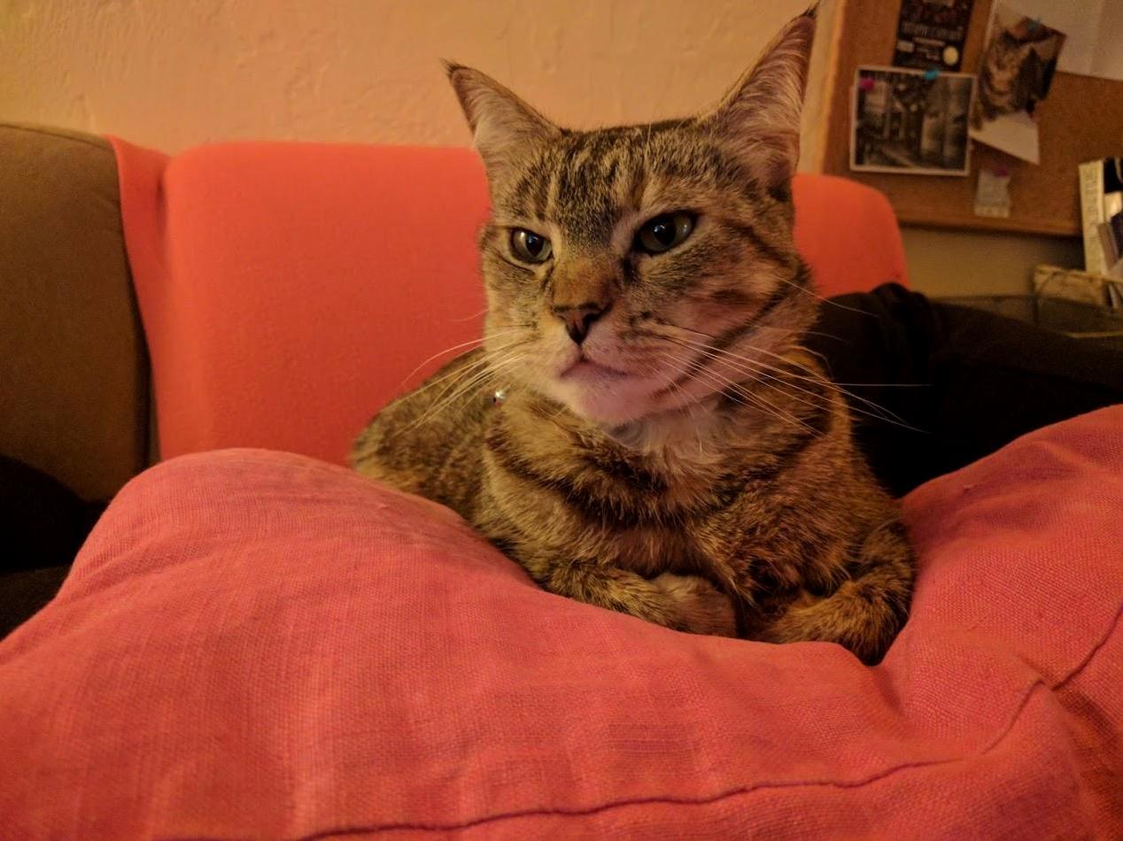 Her Name Is Shmoodey