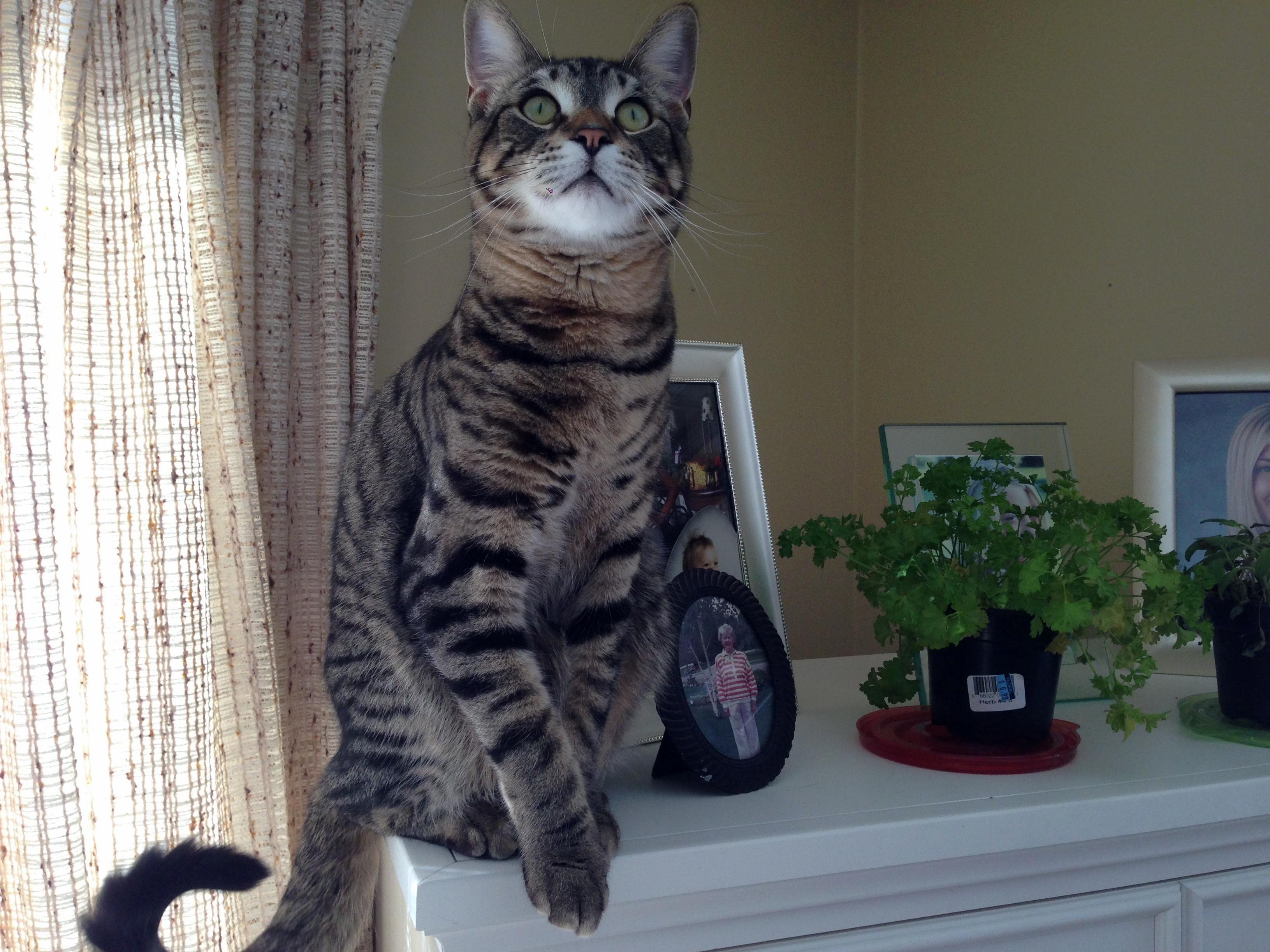 Hey Rex Im Gonna Take a Pic . Give Me a High School Picture Pose . Perfect.