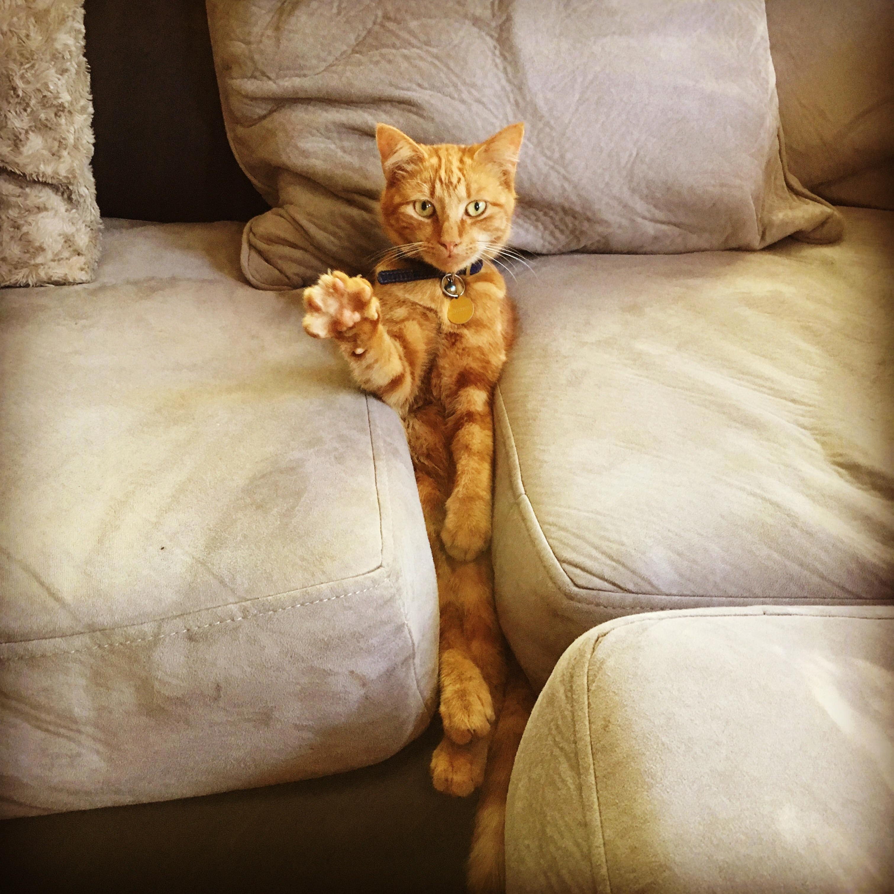 Hi from Eddie