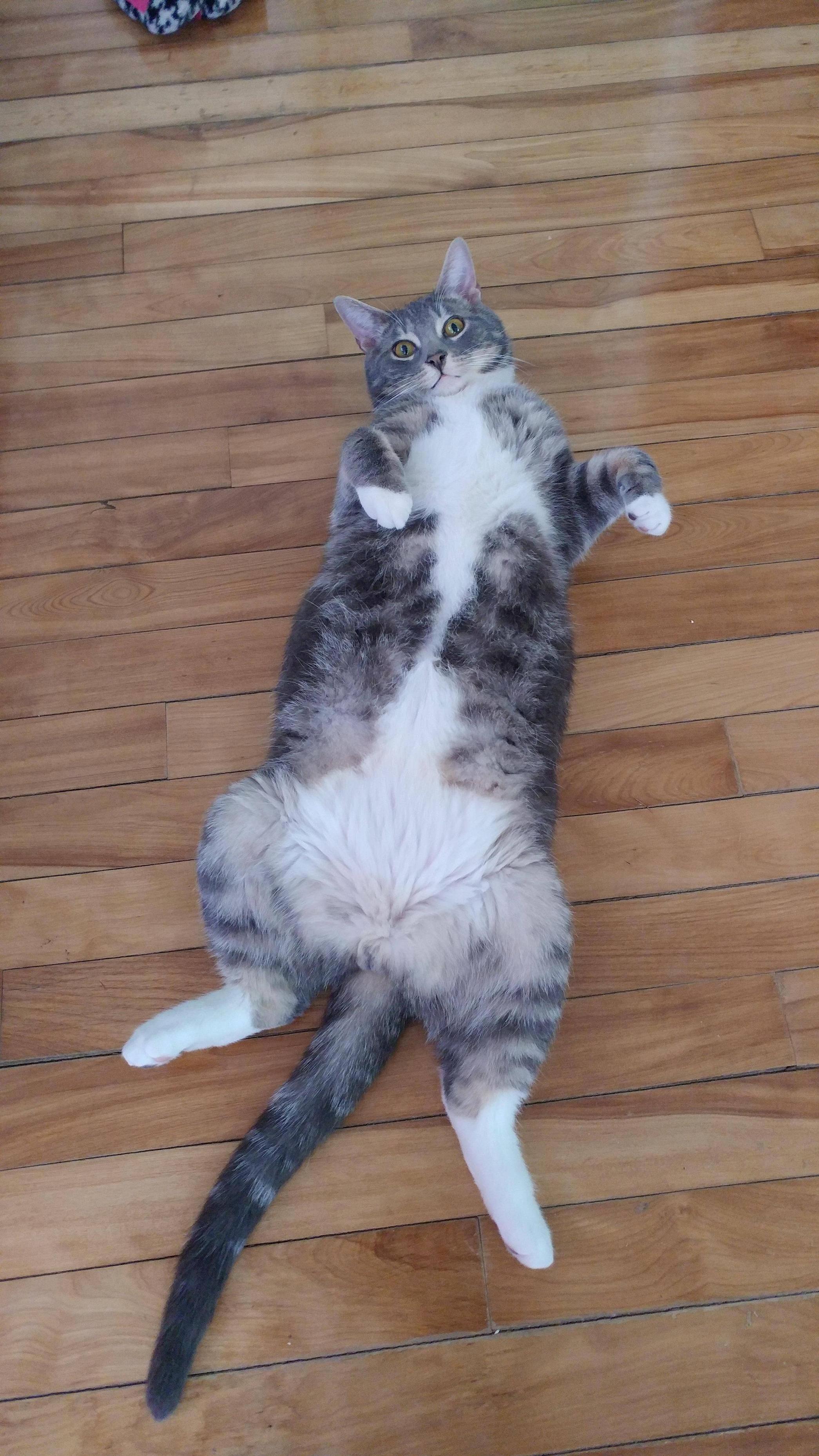 I Find Him Like This 90 of the Time
