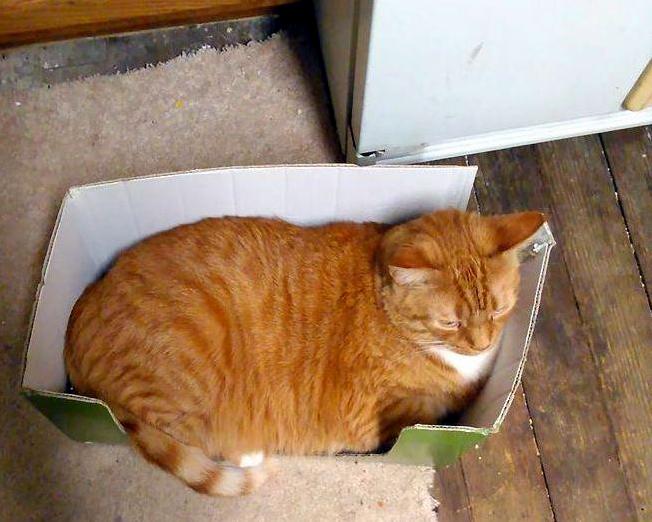 I Fits I Sits.