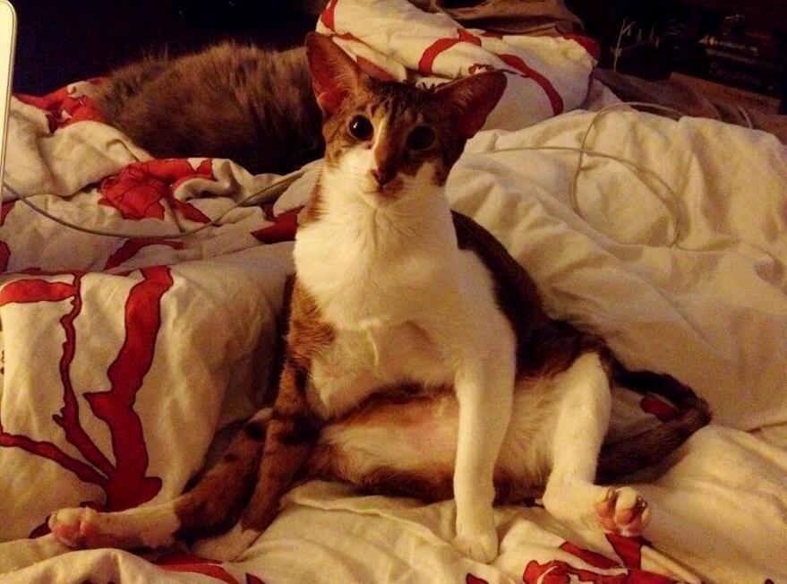 I Look Over and Shes Just Sitting Like This.