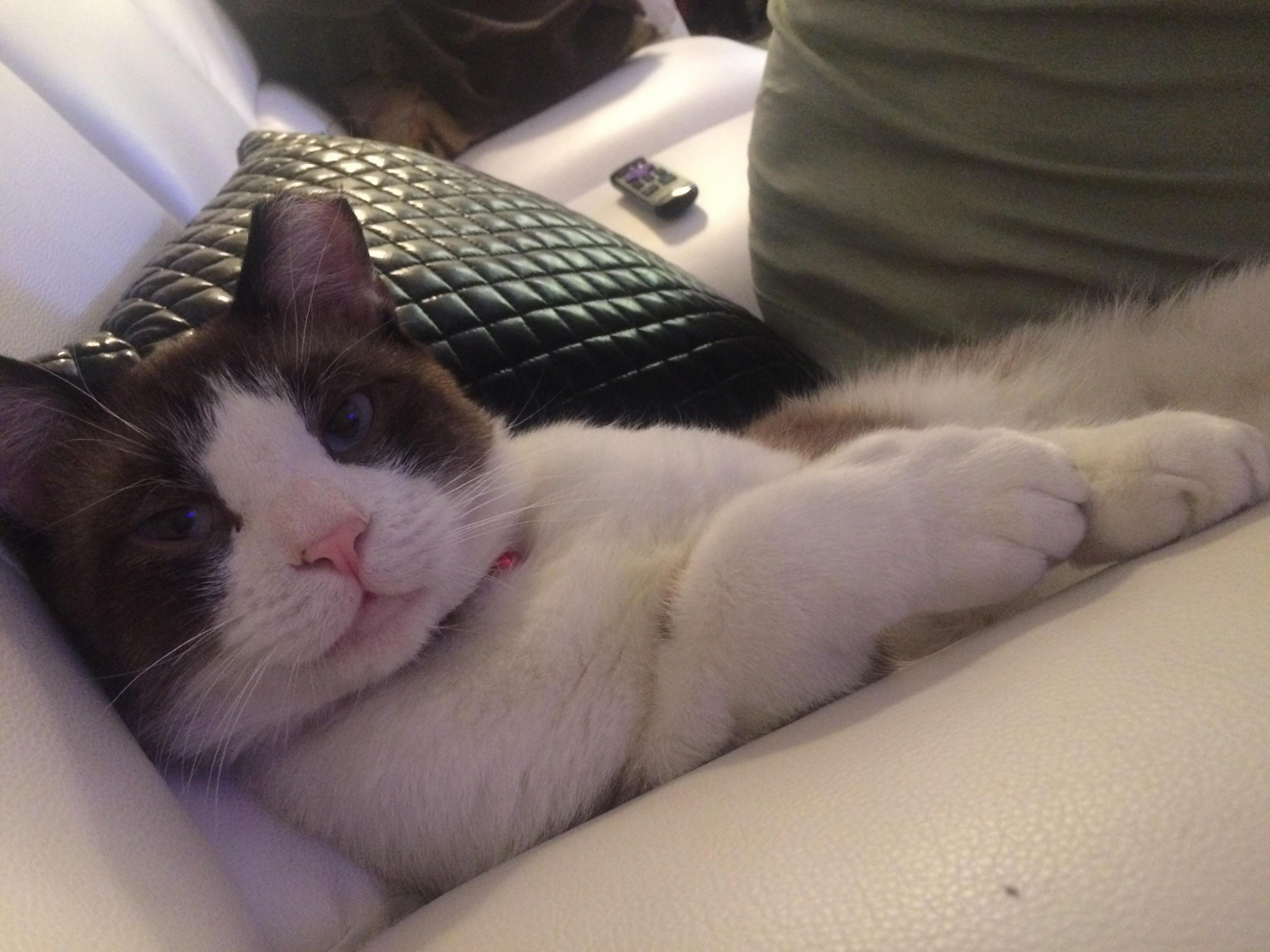 I Love This Floof