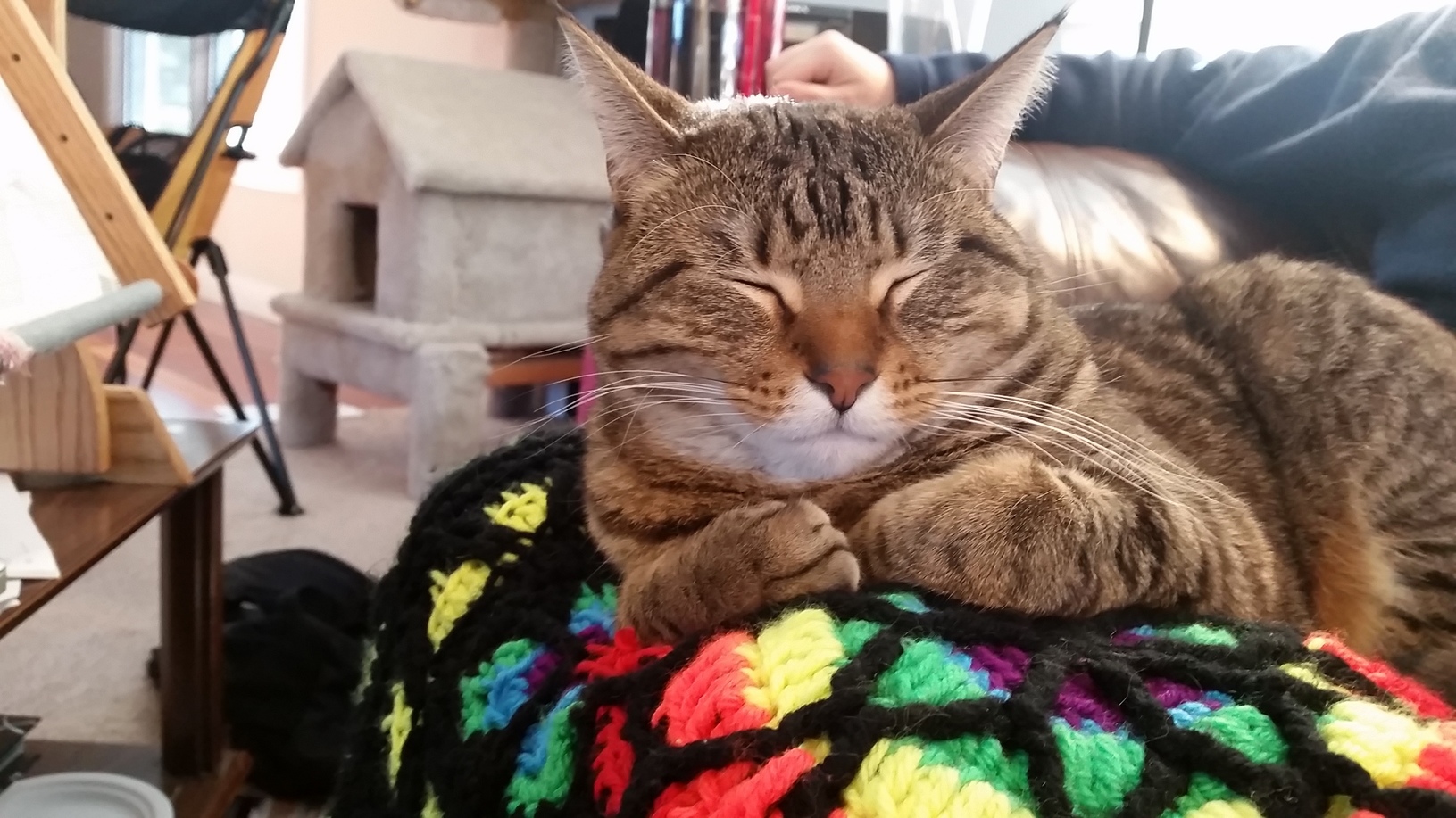 I Made This Afghan Crochet . My Wife Loves Using It to Keep Her Legs Warm and My Cat Loves Sitting on It. Success