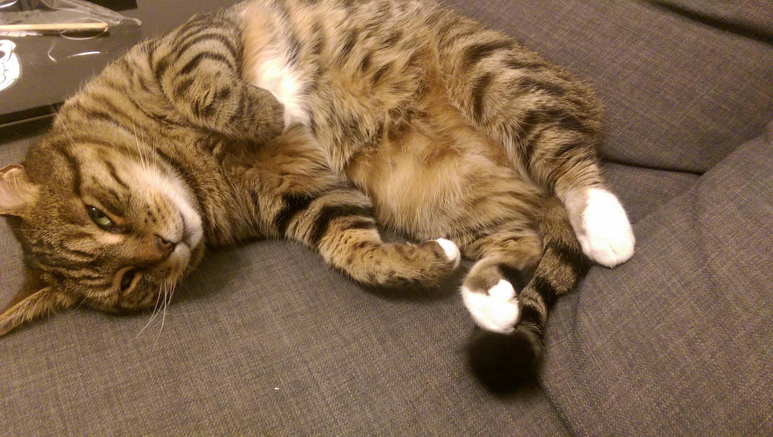 I Think Coots Looks Like Hes Smiling