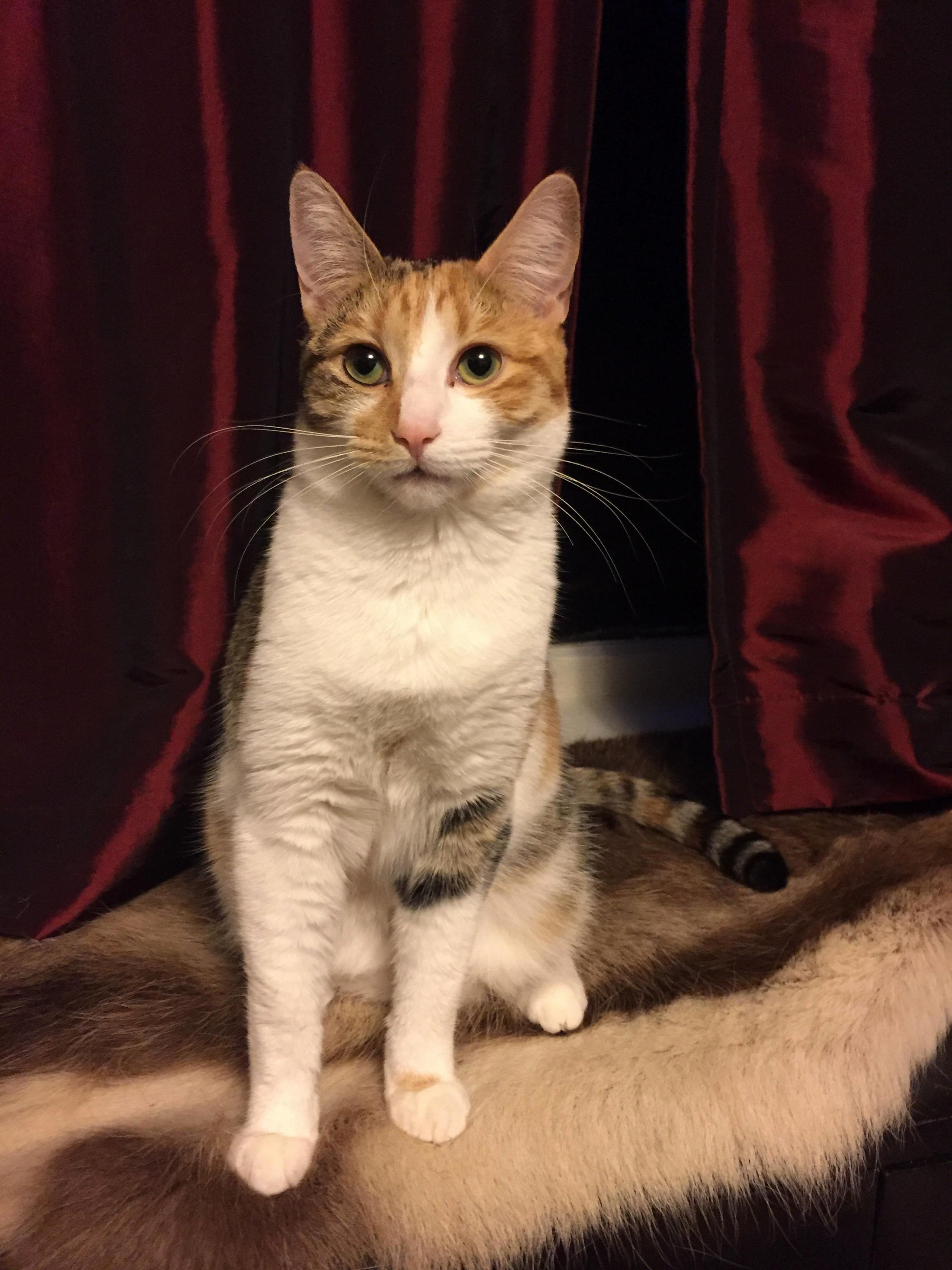 I Thought I Had Rescued a Pauper but She Turned Out to Be a Princess
