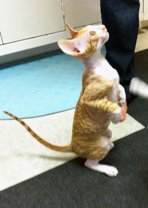 I Want What Youre Holding