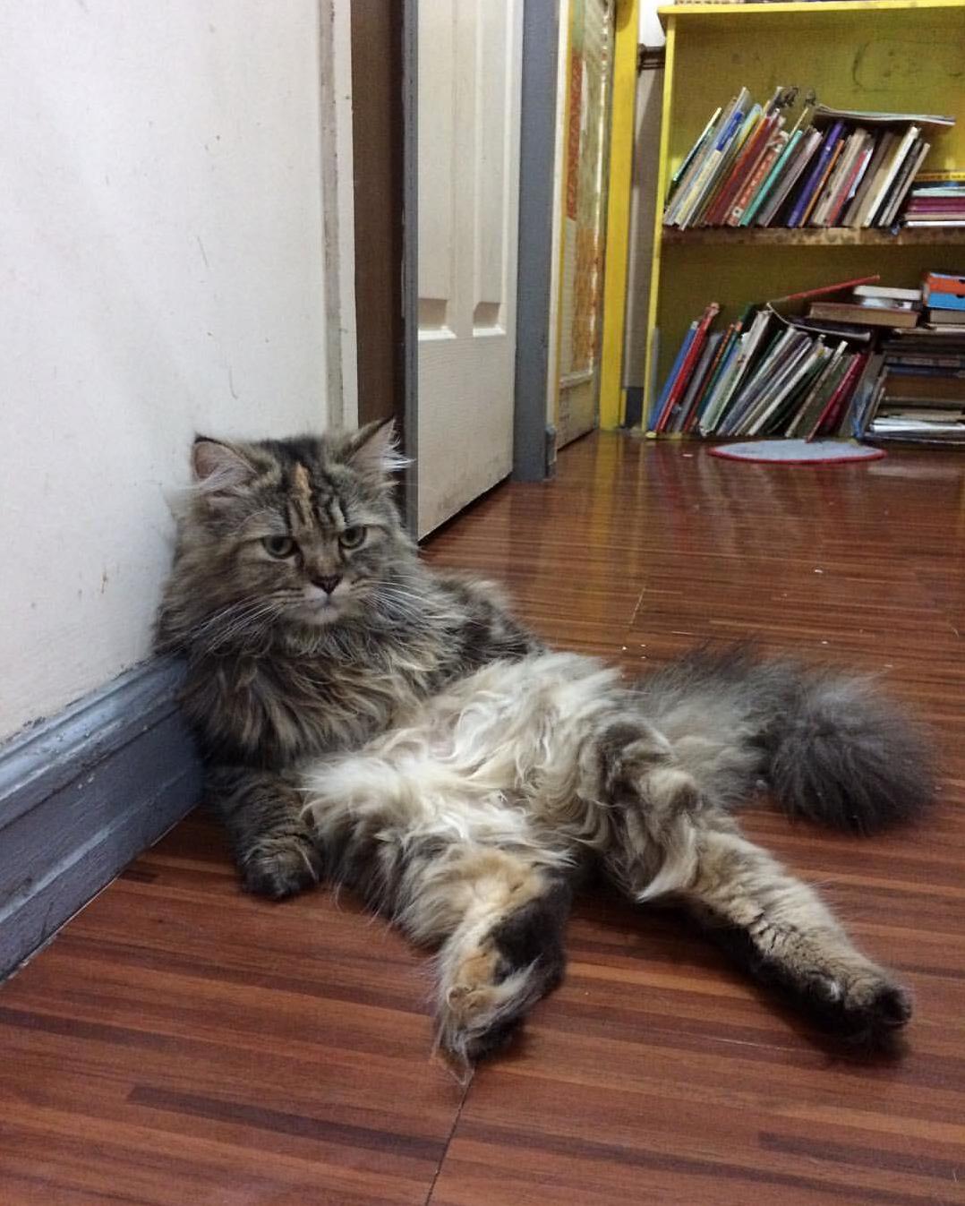 I Was on My Way to the Bedroom When I Caught Summer Lounging