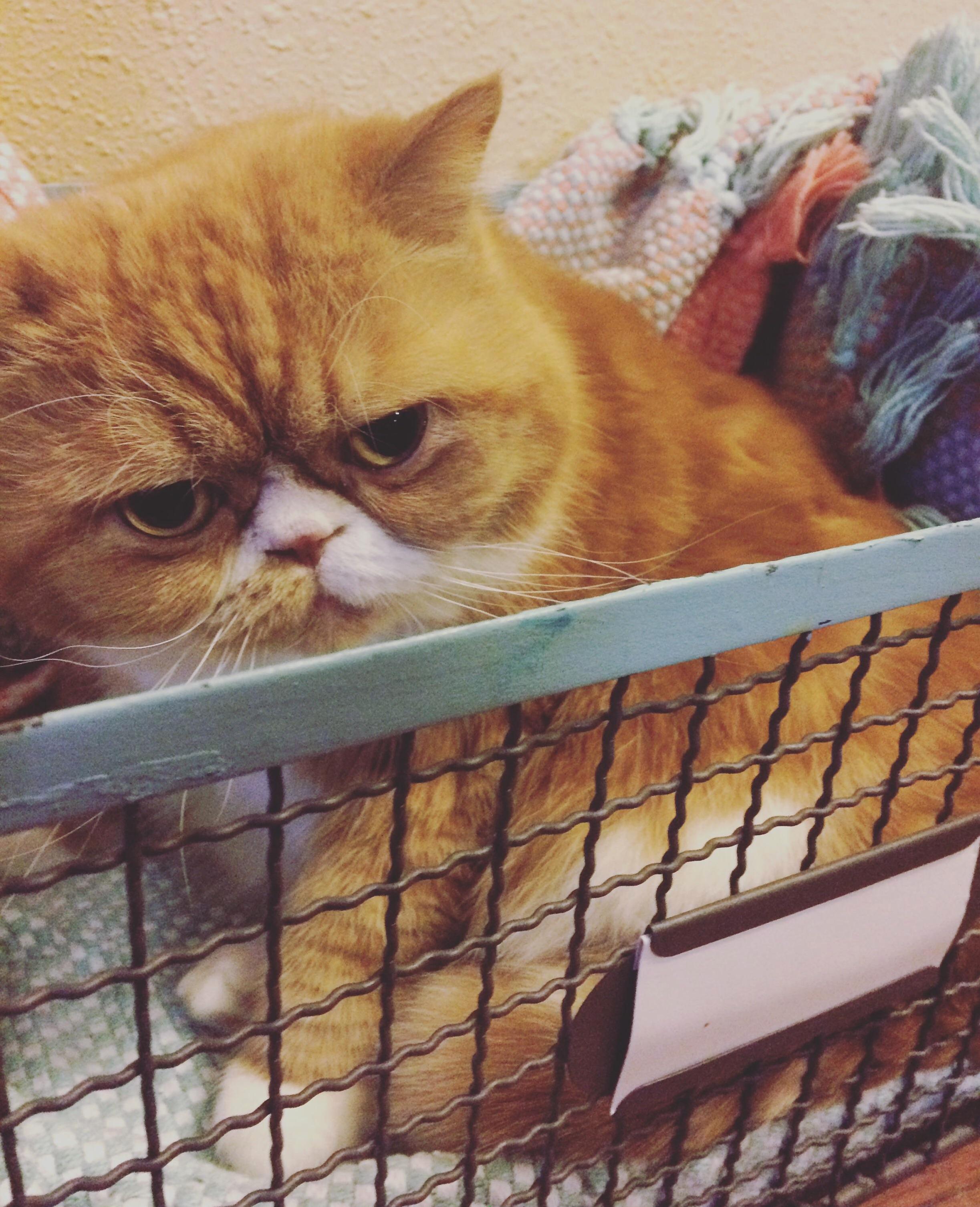 If I Fits I Sit.