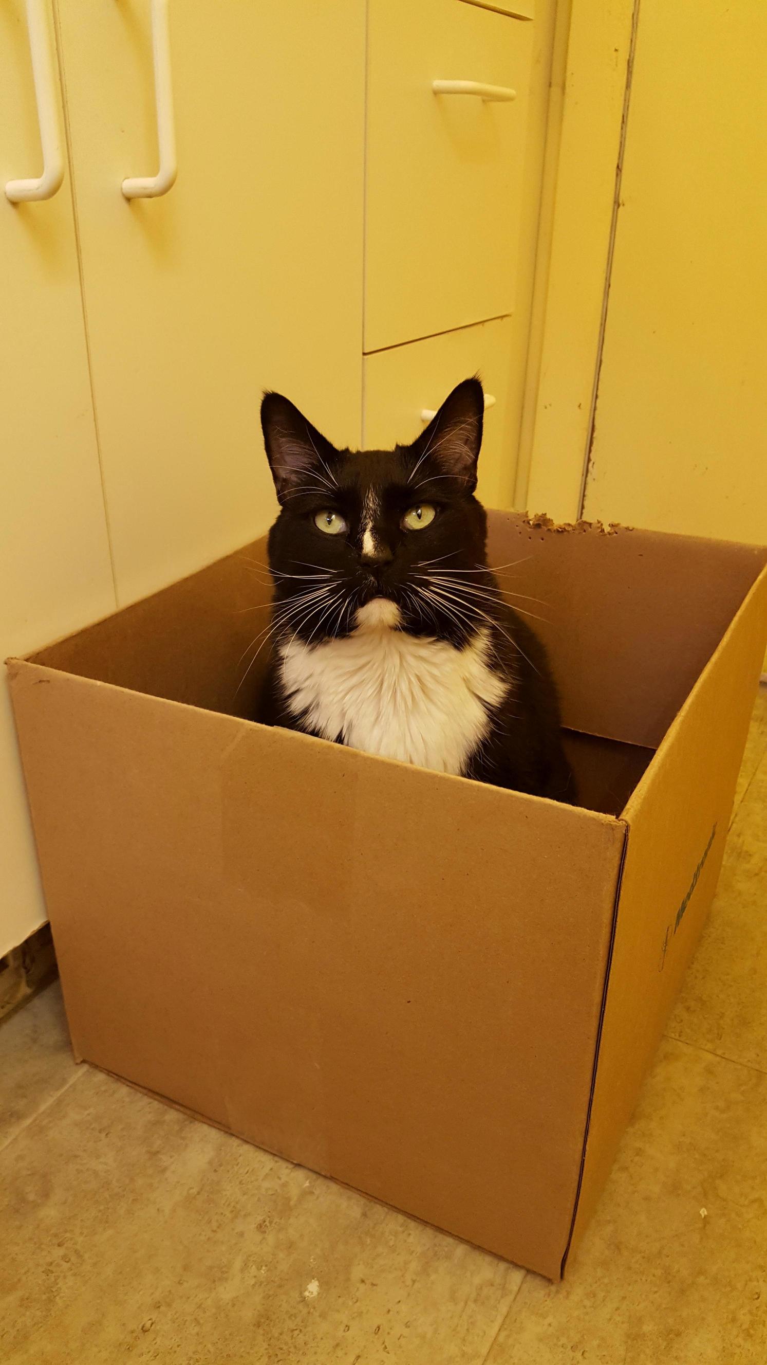 If Kenmore Sold Boxes ID Buy 10.