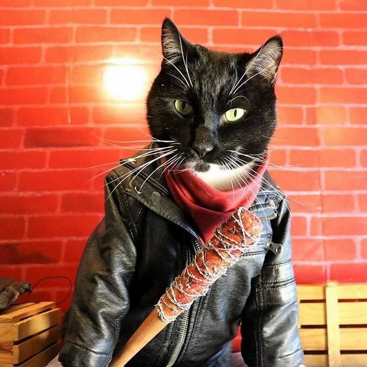 Im Negan Xpost from Rthewalkingdead