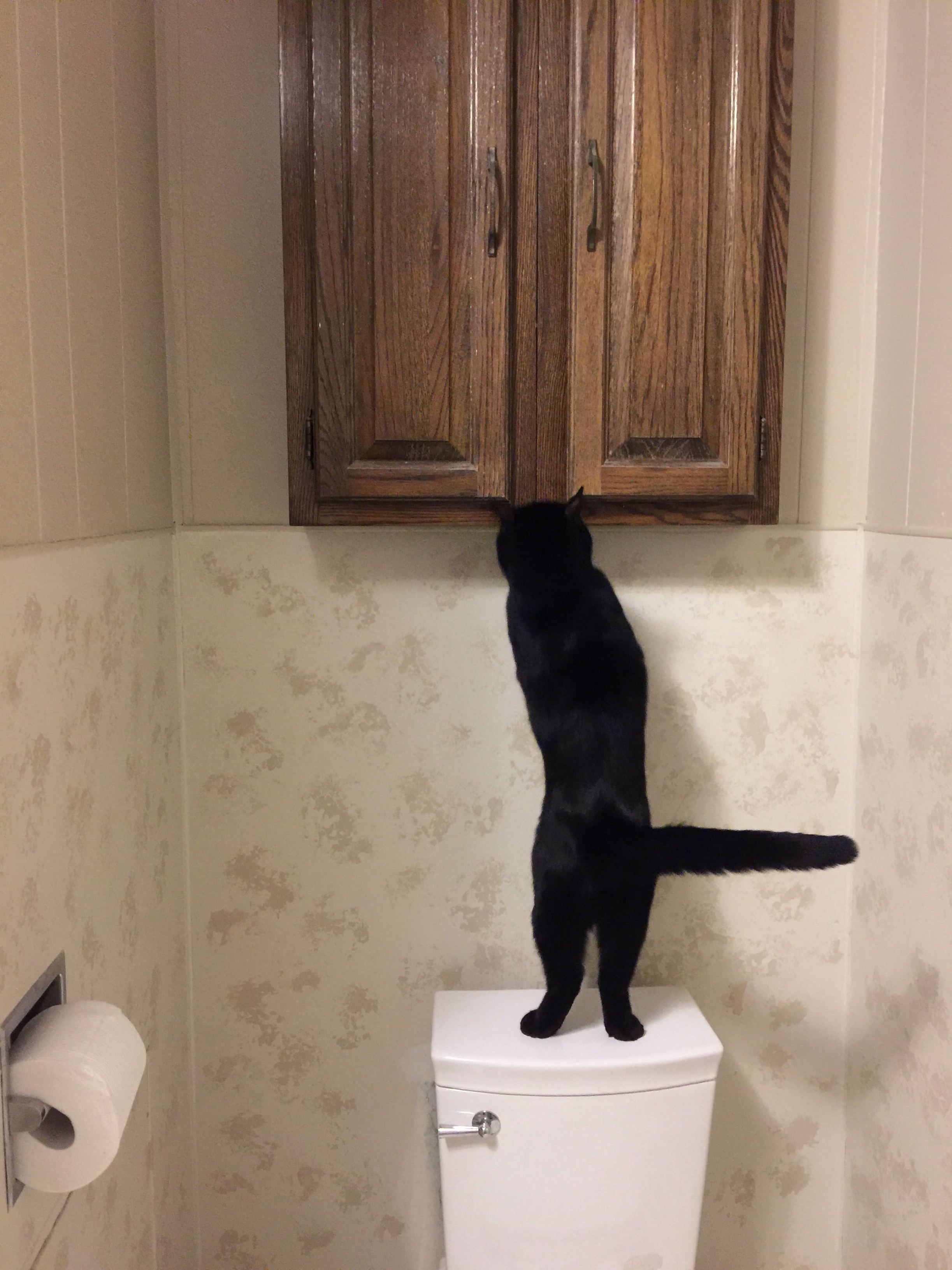 Im Not Sure What Shes Going for Here