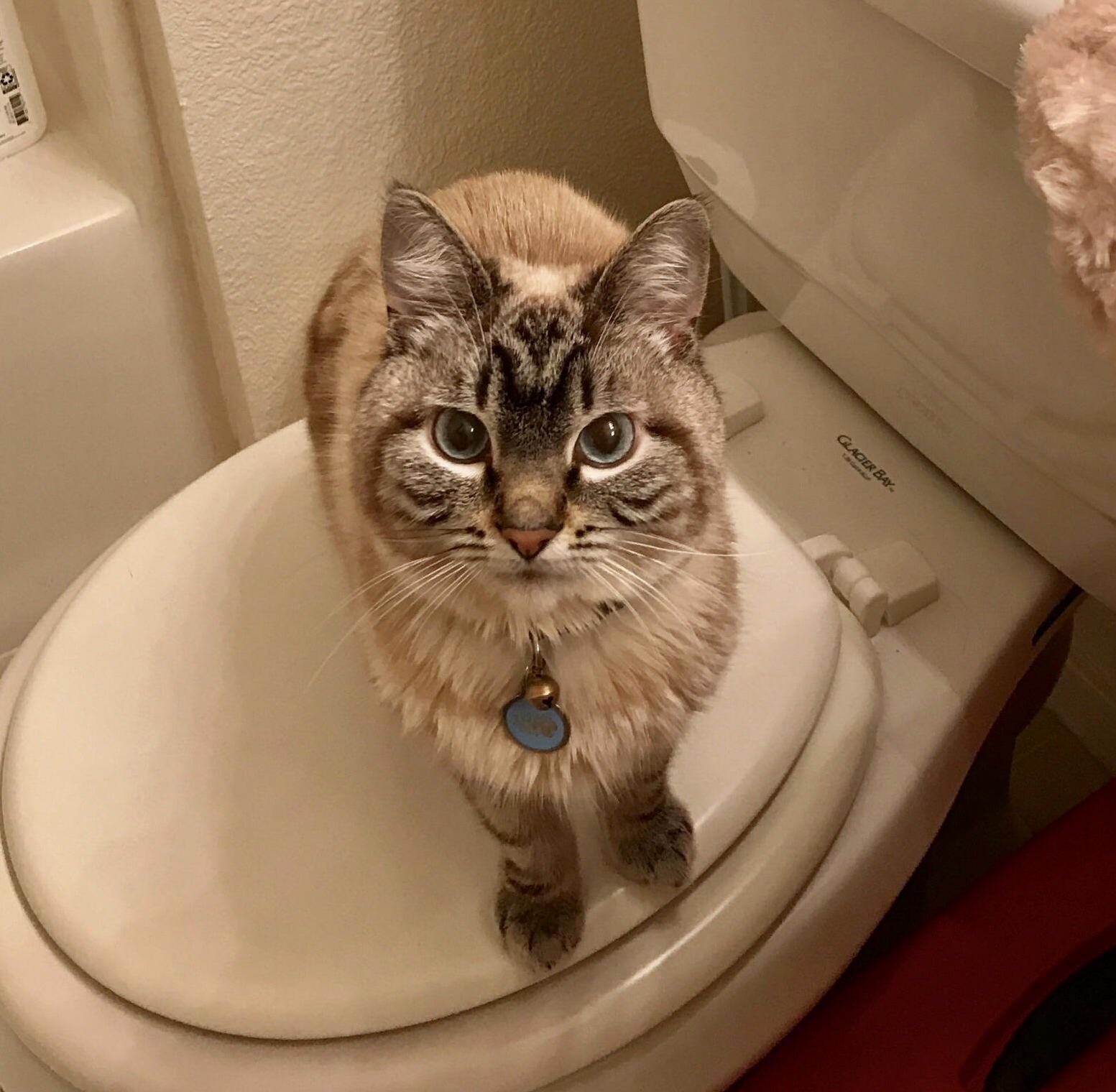 Im Sorry Is Your Bladder Hurting