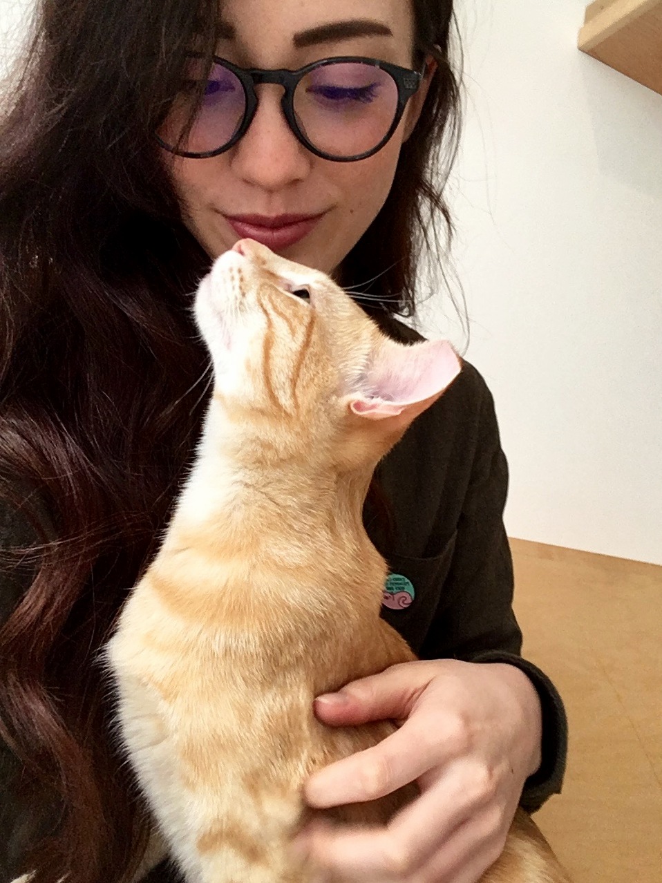 In Love with Ron at Kittea Cat Cafe