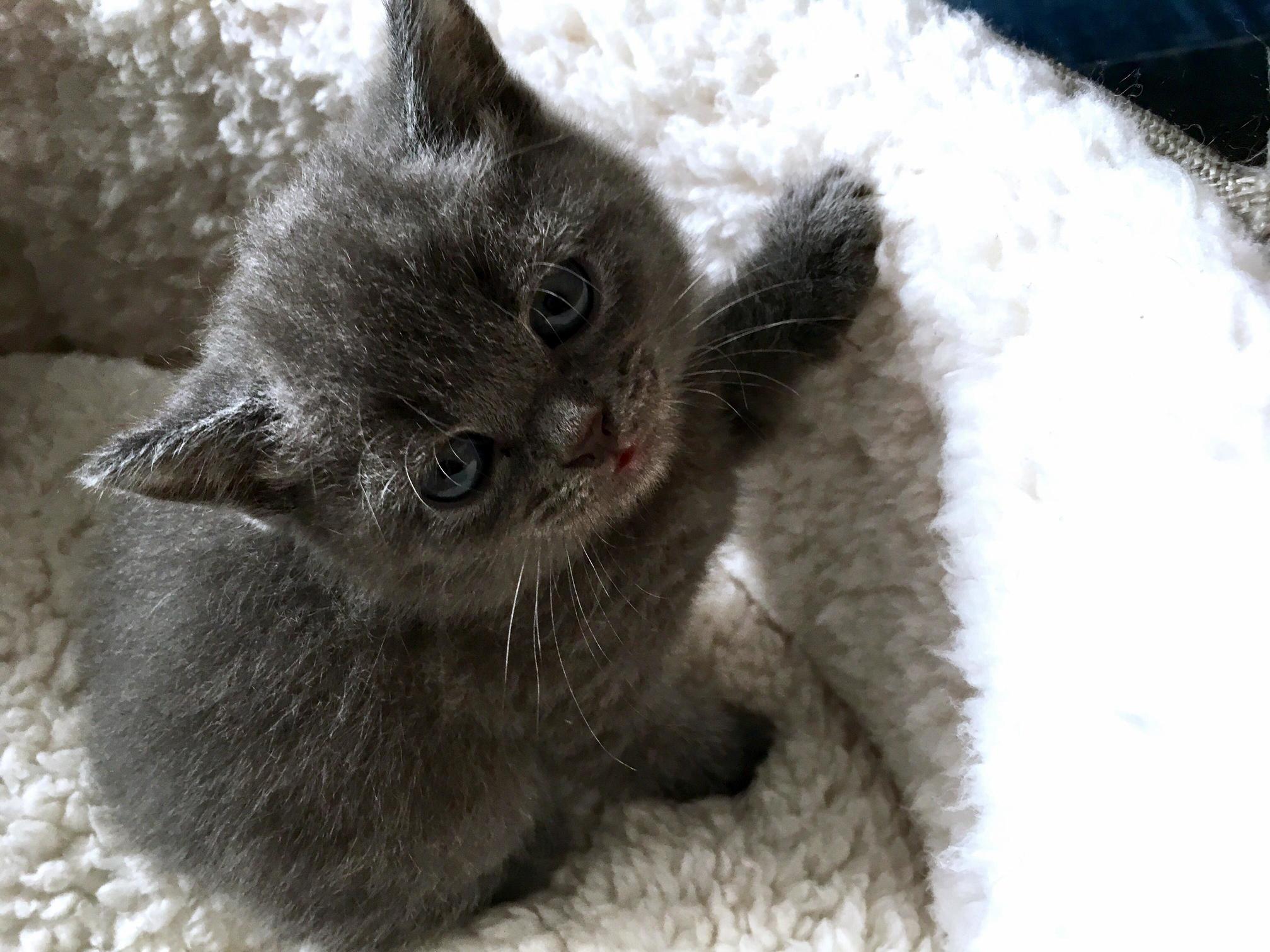 Is This a Good Pose for the Camera