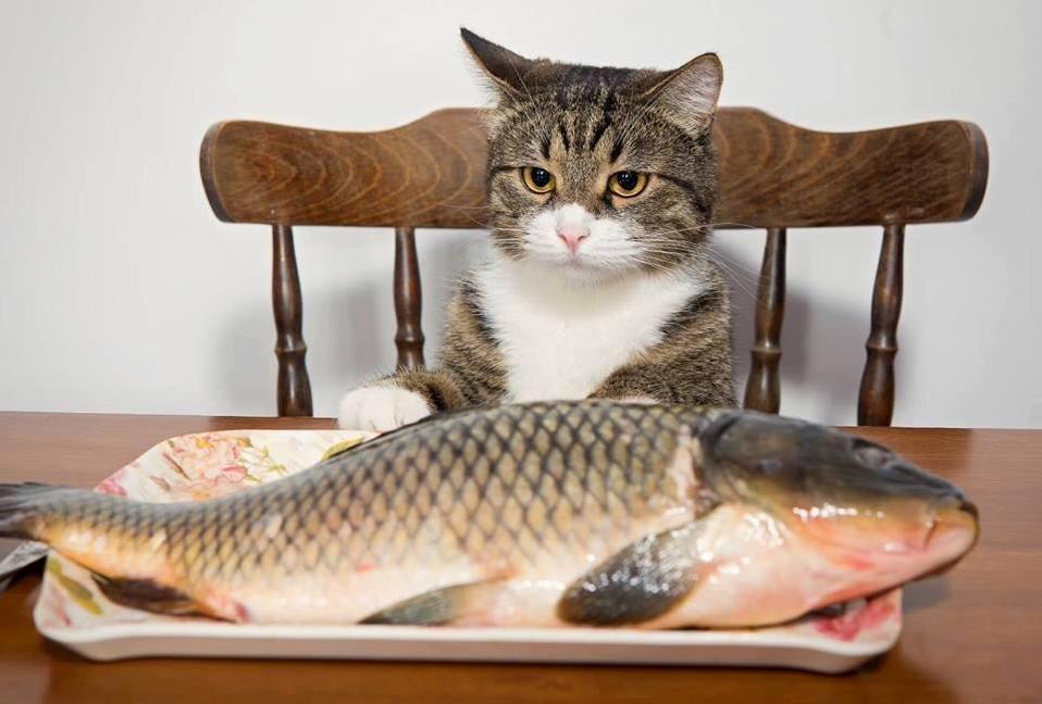 It Aint What I Ordered